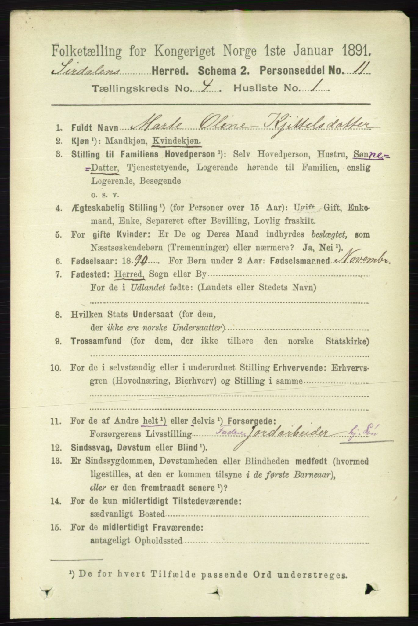 RA, Folketelling 1891 for 1046 Sirdal herred, 1891, s. 945