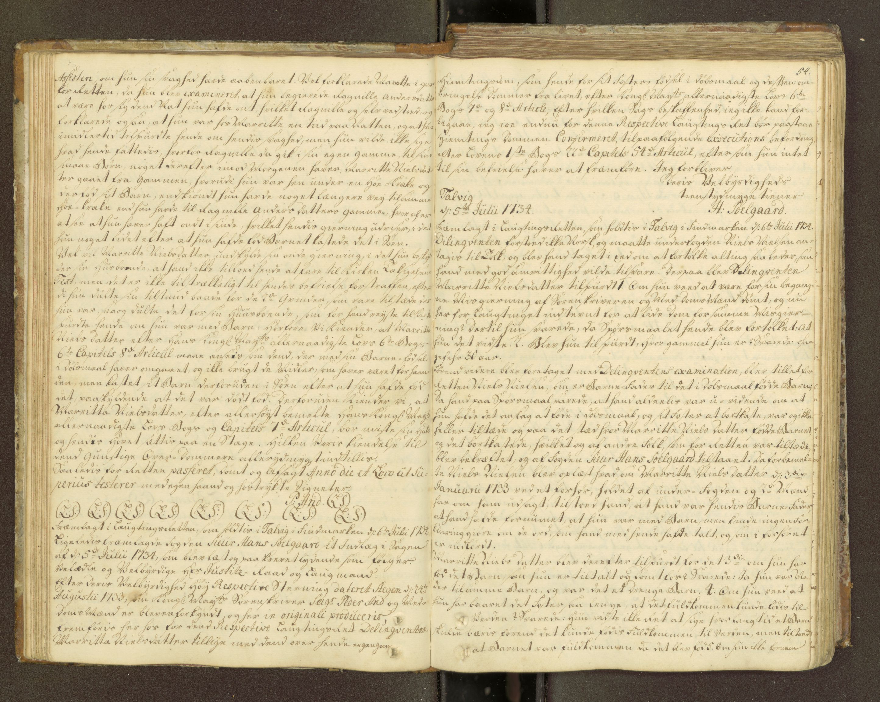 Nordland og Finnmarks lagstol, SAT/A-5608/X/L0011: Domkopibok/justisprotokoll, 1733-1736, s. 53b-54a