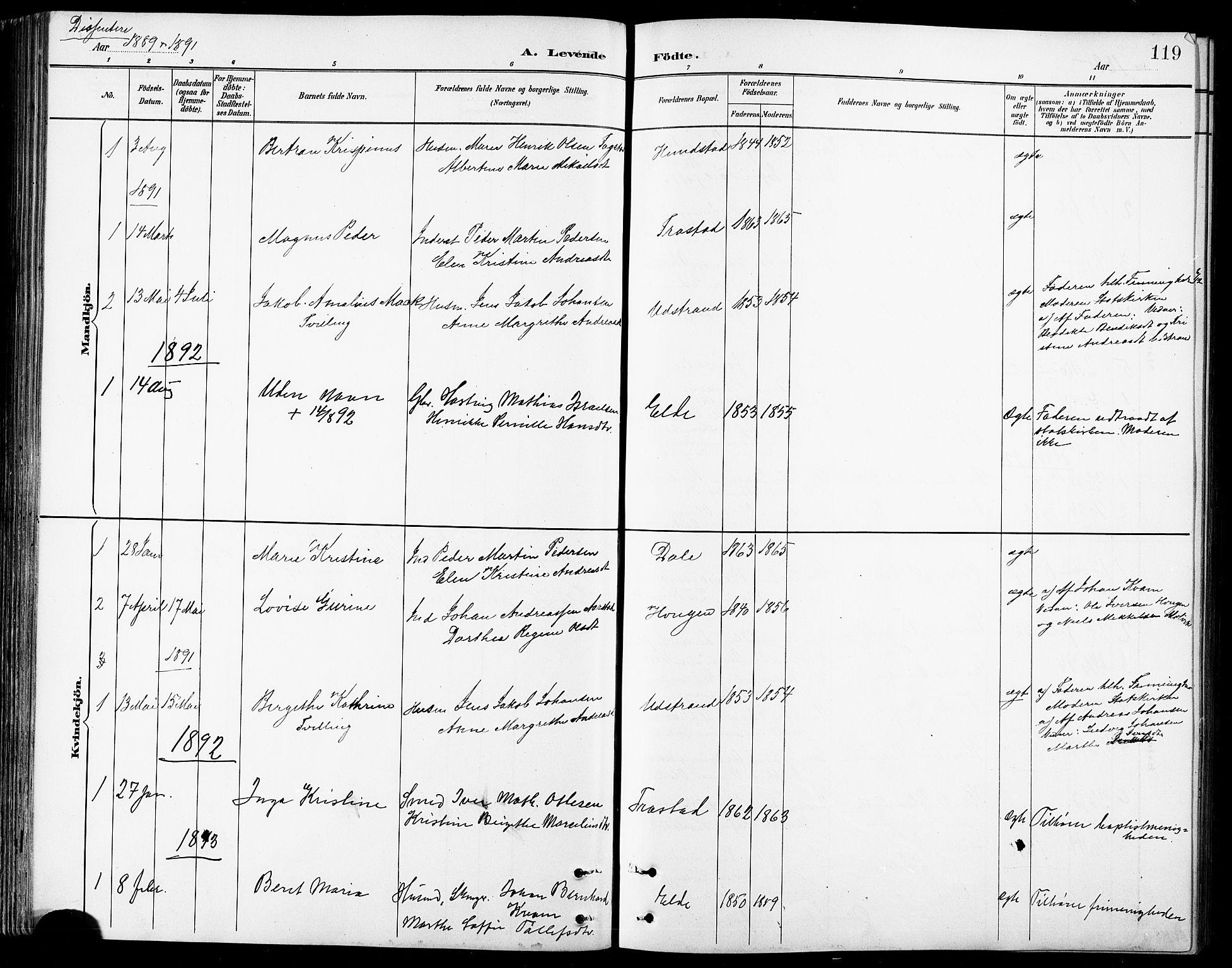 Kvæfjord sokneprestkontor, AV/SATØ-S-1323/G/Ga/Gab/L0005klokker: Klokkerbok nr. 5, 1886-1911, s. 119