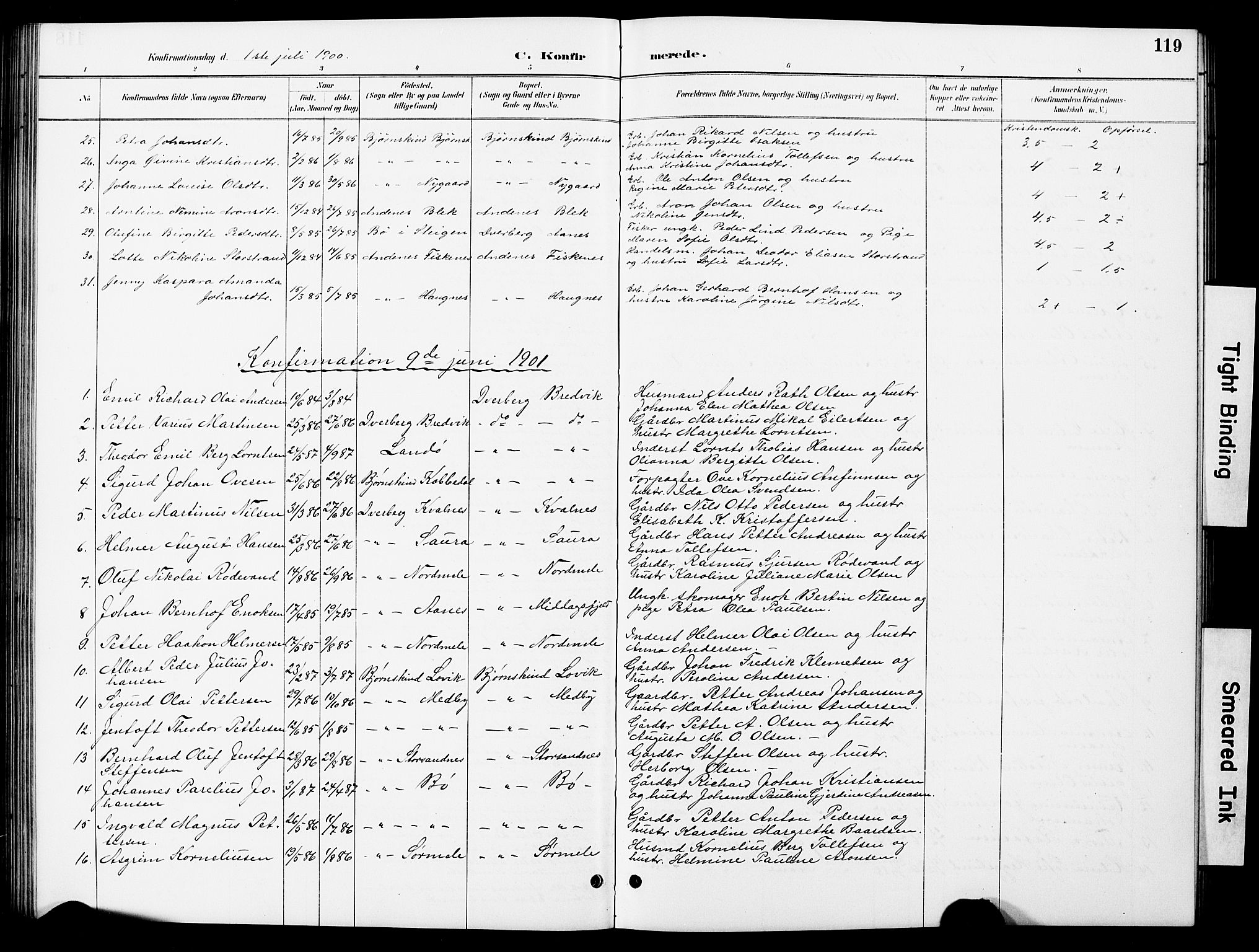 Ministerialprotokoller, klokkerbøker og fødselsregistre - Nordland, SAT/A-1459/897/L1413: Klokkerbok nr. 897C03, 1887-1903, s. 119