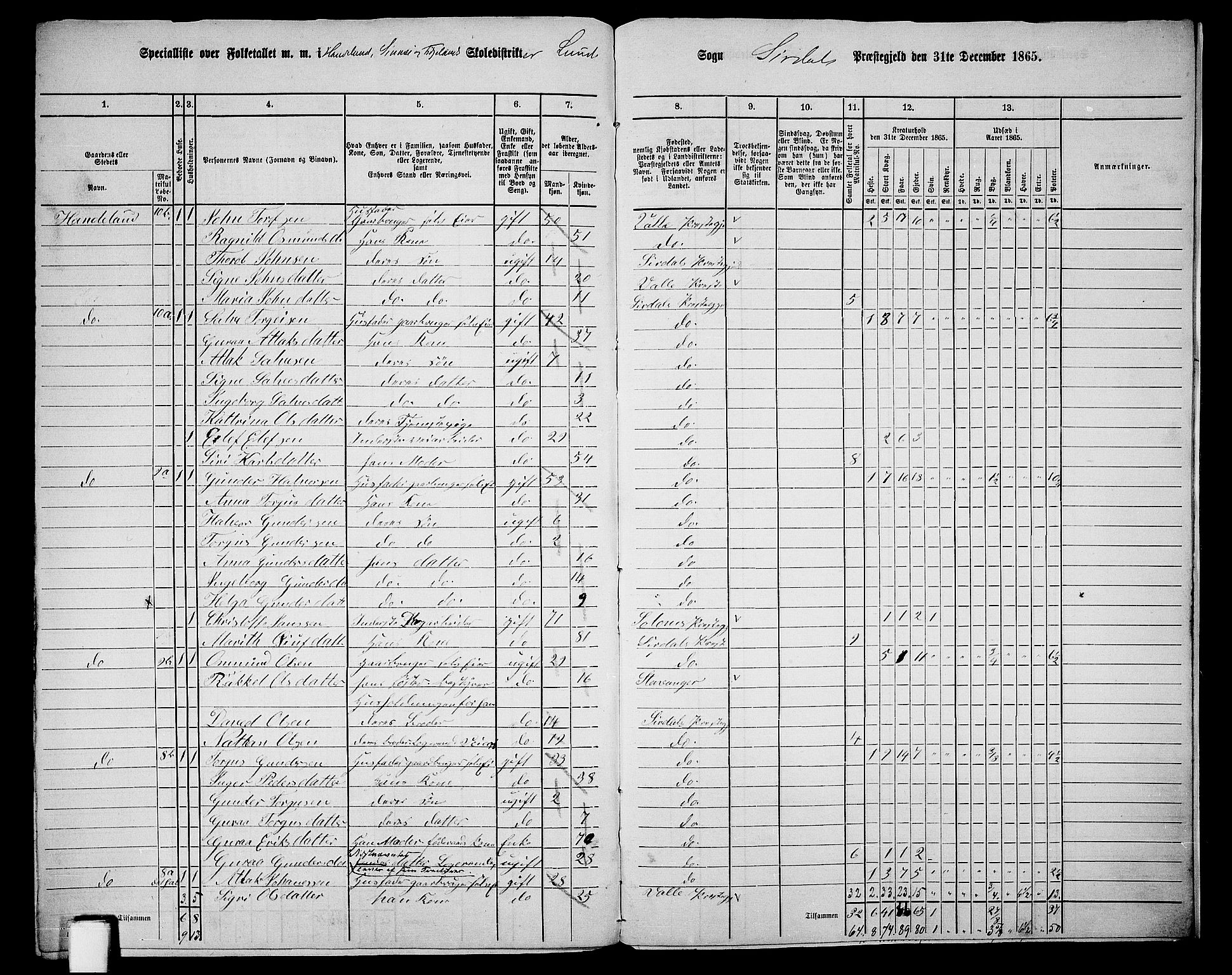 RA, Folketelling 1865 for 1046P Sirdal prestegjeld, 1865, s. 76