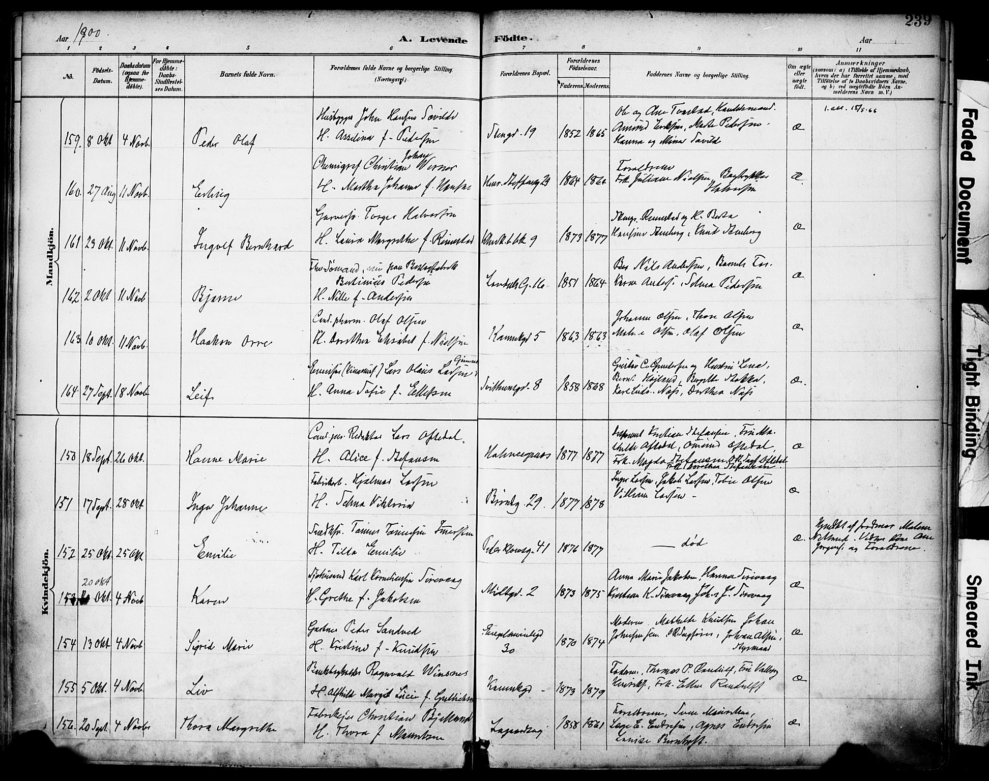 Domkirken sokneprestkontor, AV/SAST-A-101812/001/30/30BA/L0030: Ministerialbok nr. A 29, 1889-1902, s. 239