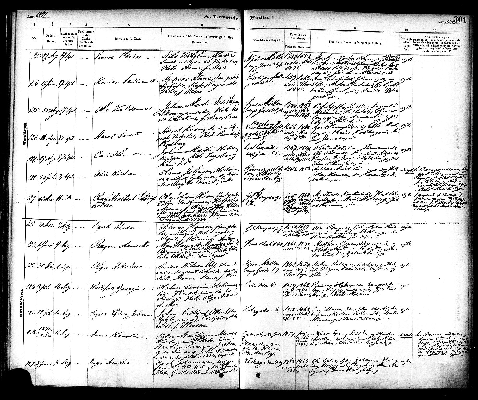 Ministerialprotokoller, klokkerbøker og fødselsregistre - Sør-Trøndelag, AV/SAT-A-1456/604/L0188: Ministerialbok nr. 604A09, 1878-1892, s. 301