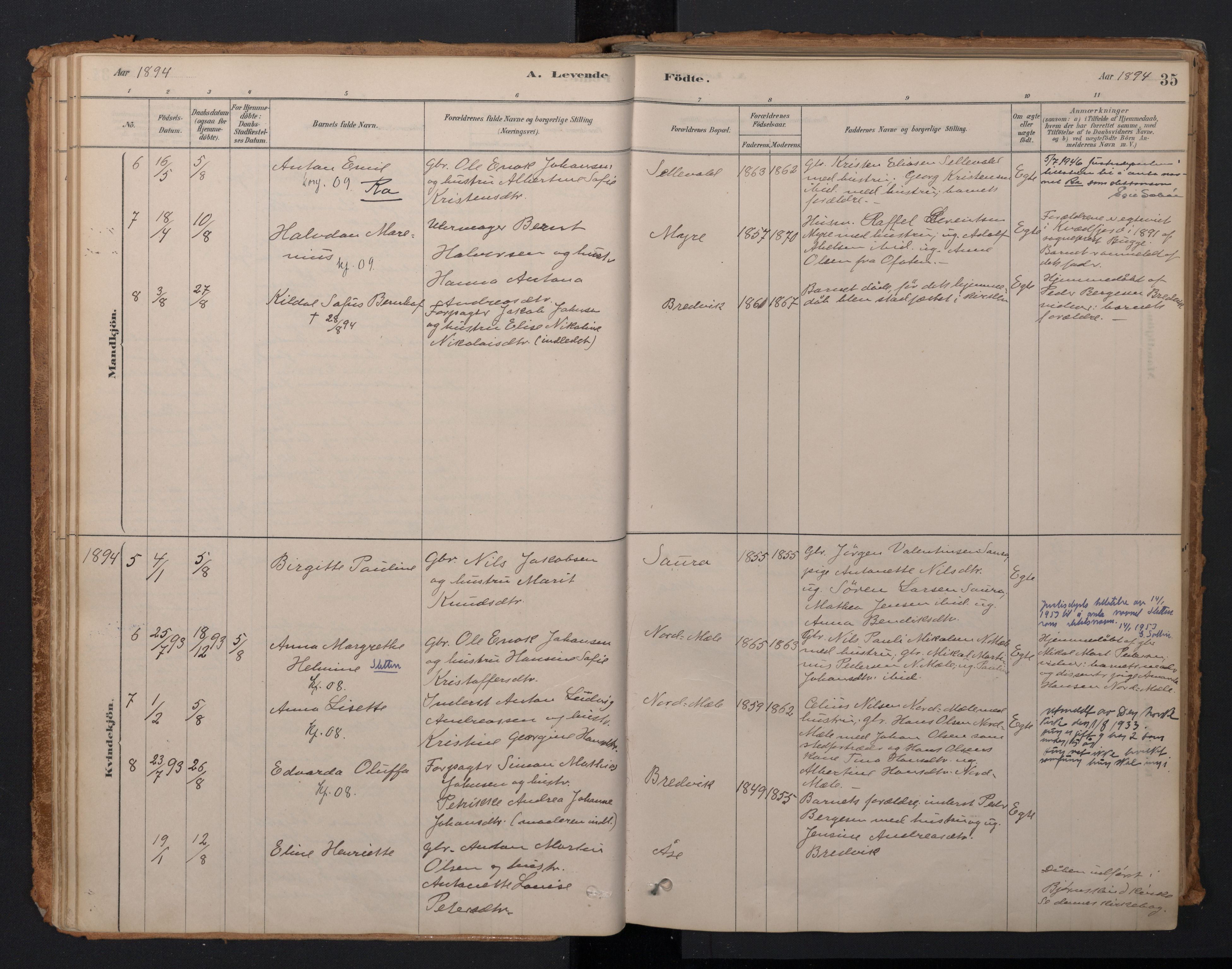 Ministerialprotokoller, klokkerbøker og fødselsregistre - Nordland, AV/SAT-A-1459/897/L1399: Ministerialbok nr. 897A06, 1881-1896, s. 35