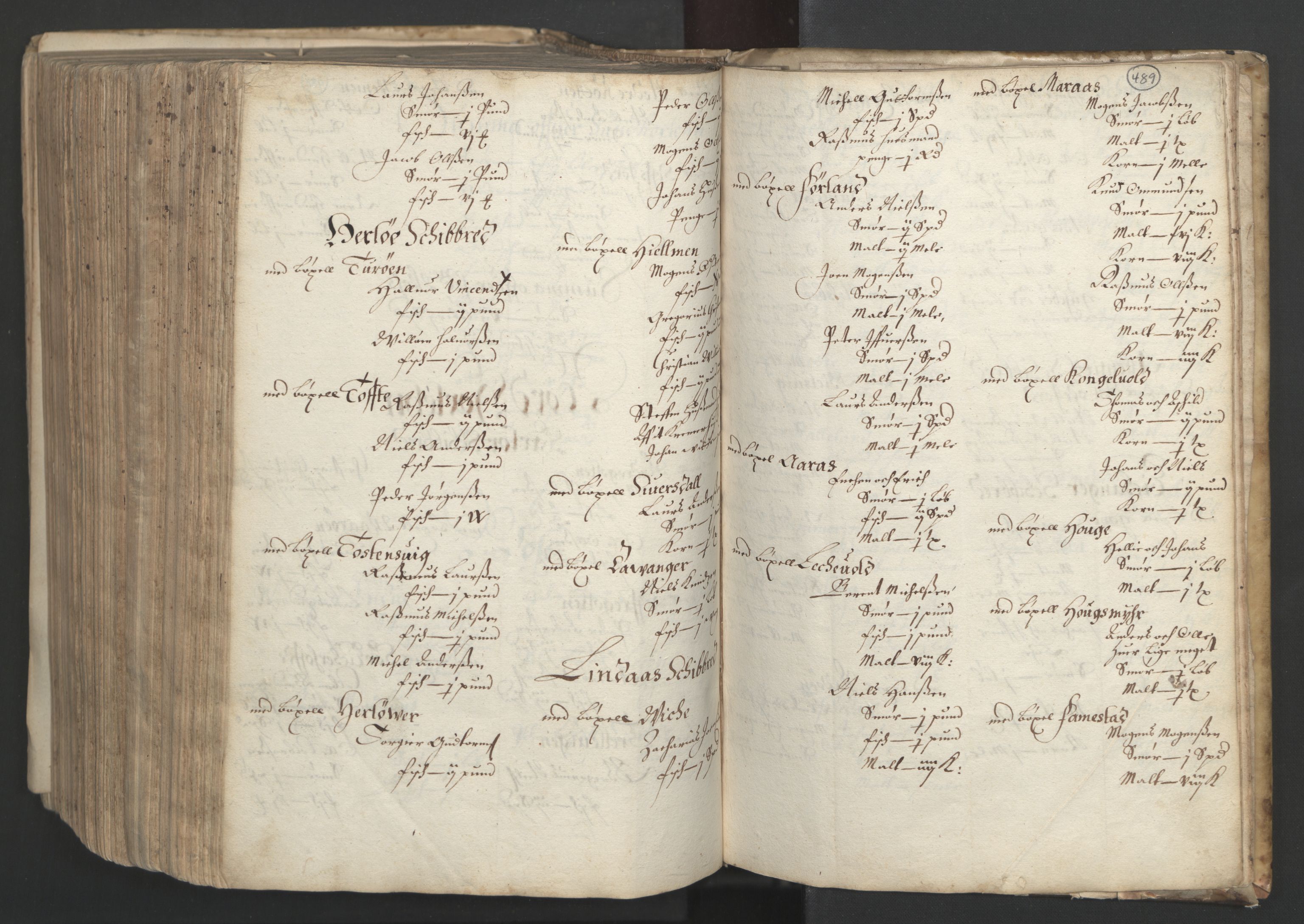 Rentekammeret inntil 1814, Realistisk ordnet avdeling, AV/RA-EA-4070/L/L0025/0001: Bergen lagdømme: / [B]: Kronens jordebok. Nordhordland, Sunnhordland, Ytre Sogn, Indre Sogn, Sunnfjord, Nordfjord, Sunnmøre, Hardanger med Halsnøy kloster, Lyse kloster, Apostelgodset, Munkeliv og St. Hans kloster, Alle helgen gods, Lagstolen gods, Ove Jenssøns gods på Voss, 1661, s. 488b-489a