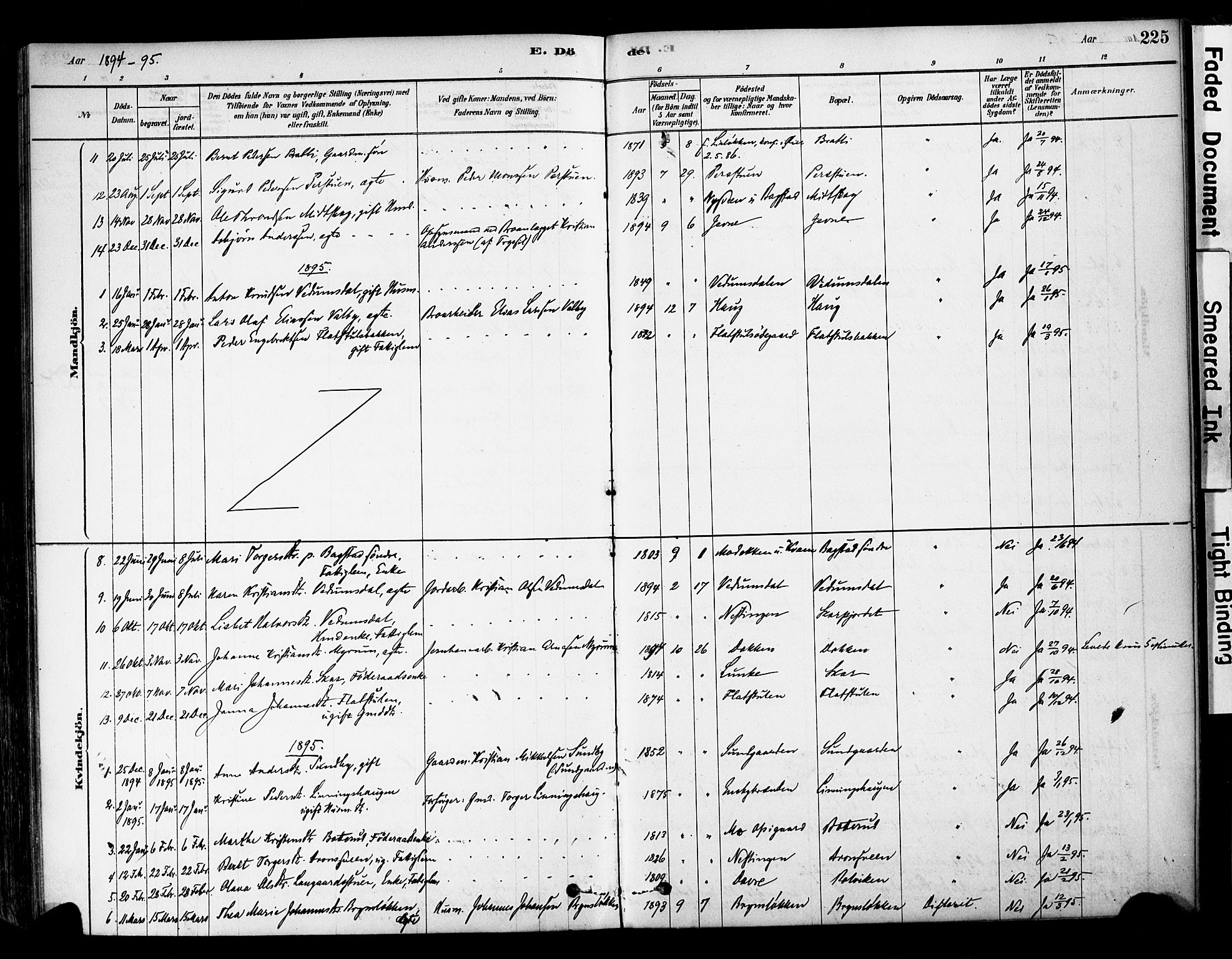 Øyer prestekontor, AV/SAH-PREST-084/H/Ha/Haa/L0008: Ministerialbok nr. 8, 1878-1897, s. 225