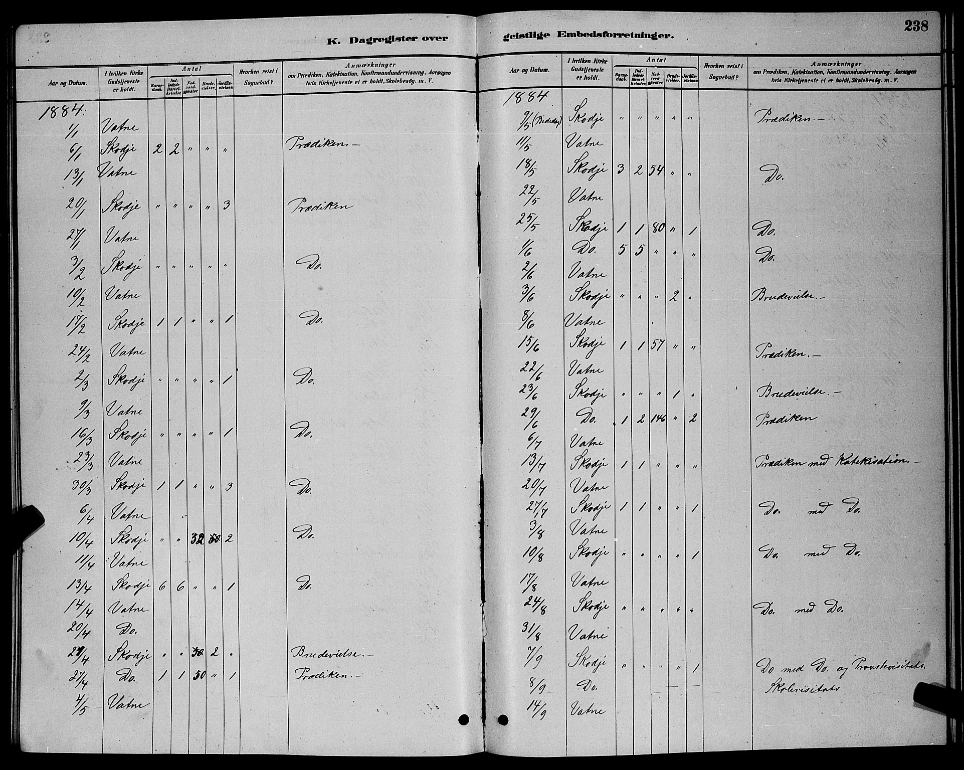 Ministerialprotokoller, klokkerbøker og fødselsregistre - Møre og Romsdal, SAT/A-1454/524/L0365: Klokkerbok nr. 524C06, 1880-1899, s. 238