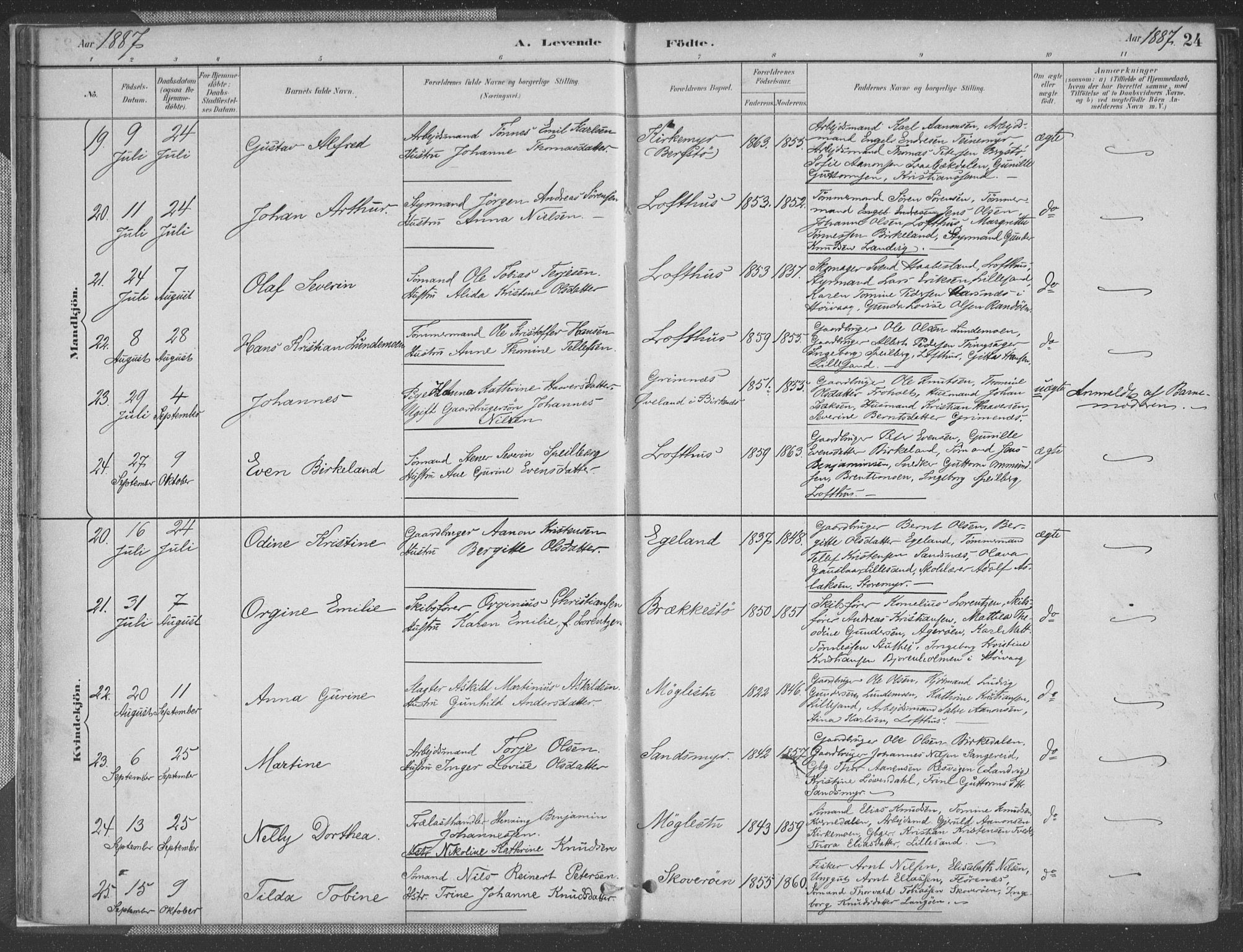 Vestre Moland sokneprestkontor, AV/SAK-1111-0046/F/Fa/Fab/L0009: Ministerialbok nr. A 9, 1884-1899, s. 24