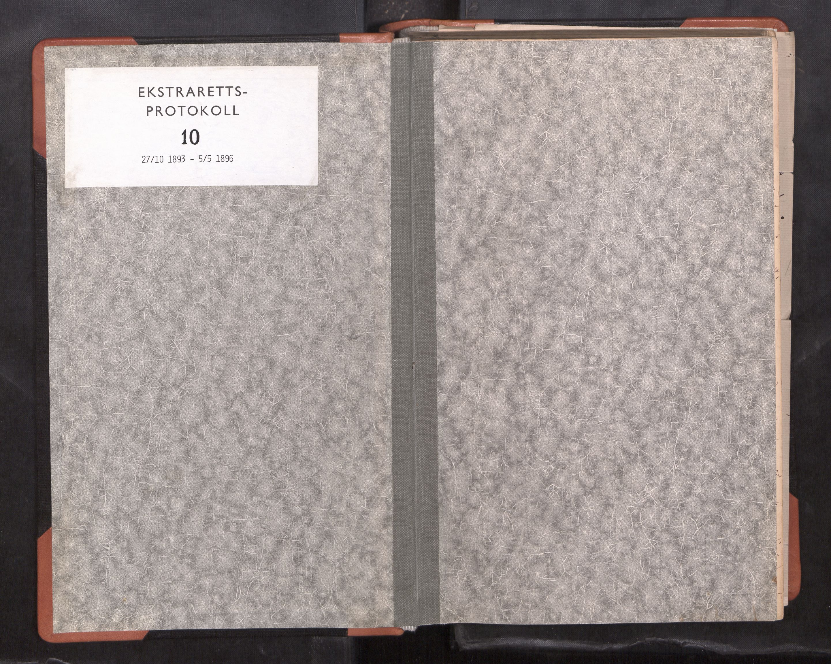 Lofoten sorenskriveri, SAT/A-0017/1/1/1B/L0010: Ekstrarettsprotokoll, 1893-1896