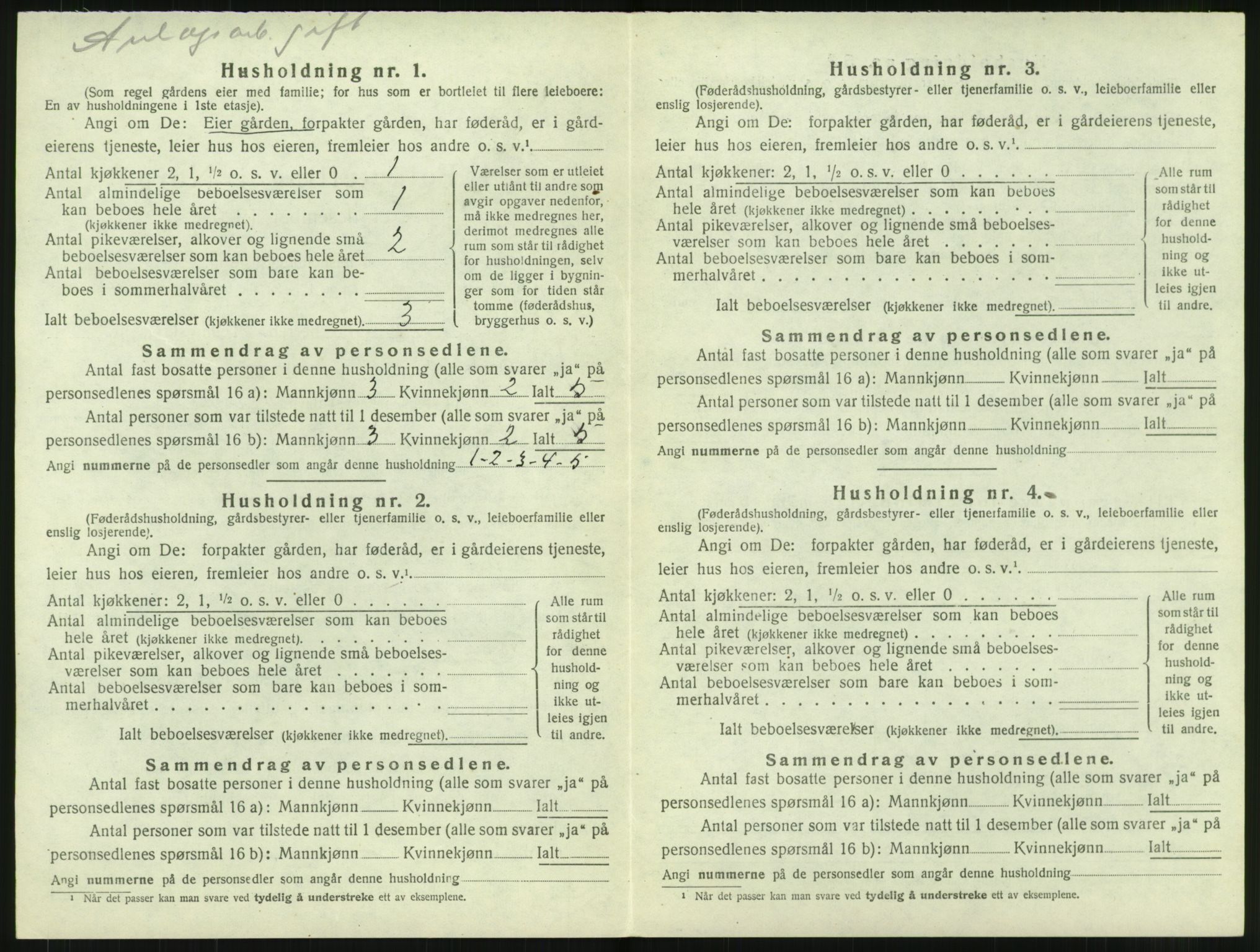 SAT, Folketelling 1920 for 1862 Borge herred, 1920, s. 262