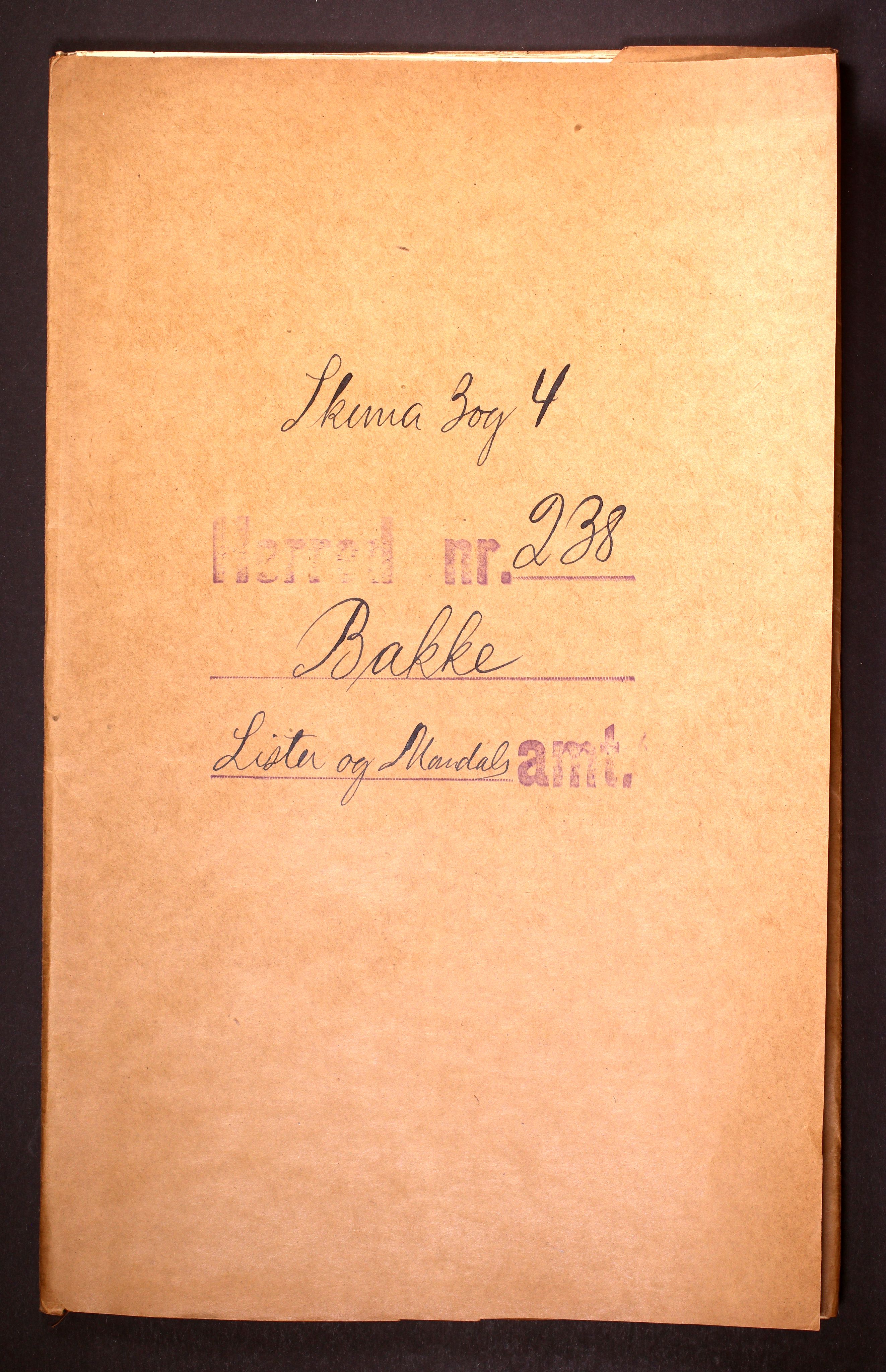 RA, Folketelling 1910 for 1045 Bakke herred, 1910, s. 1