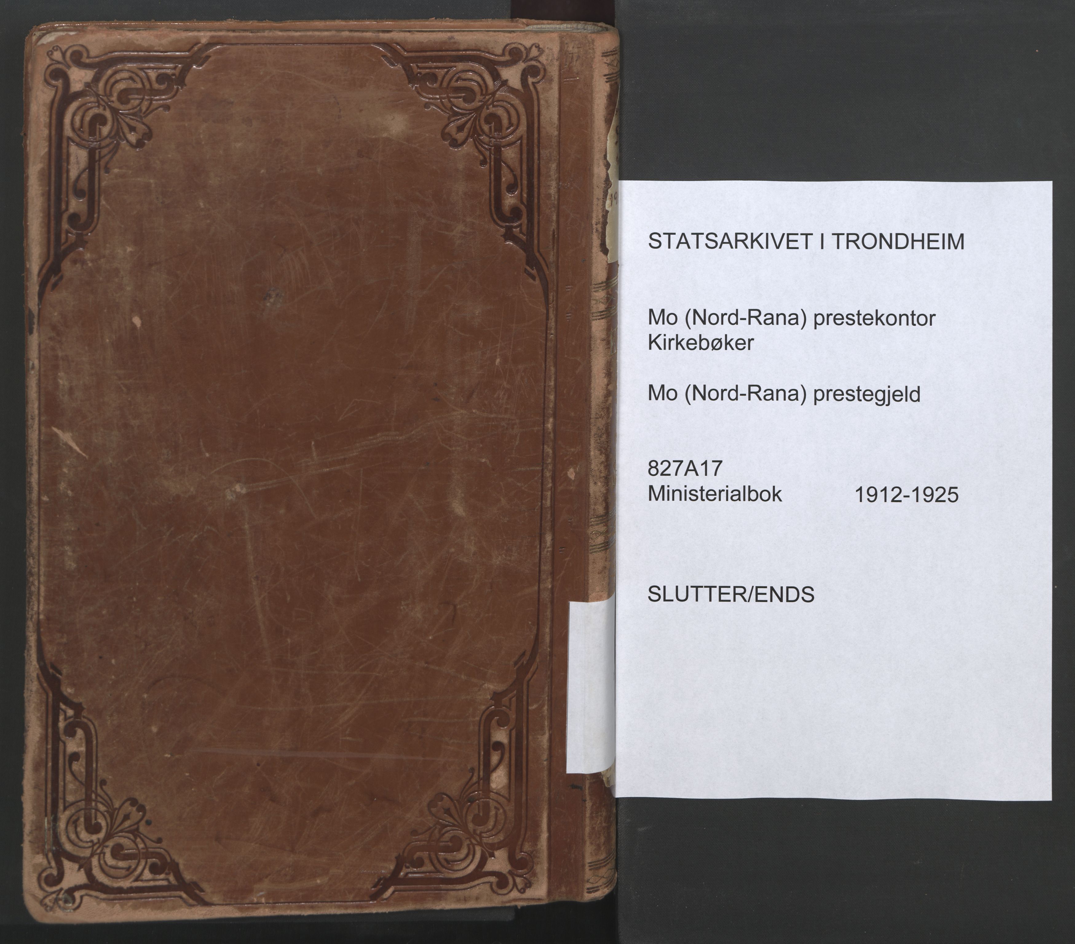 Ministerialprotokoller, klokkerbøker og fødselsregistre - Nordland, SAT/A-1459/827/L0405: Ministerialbok nr. 827A17, 1912-1925