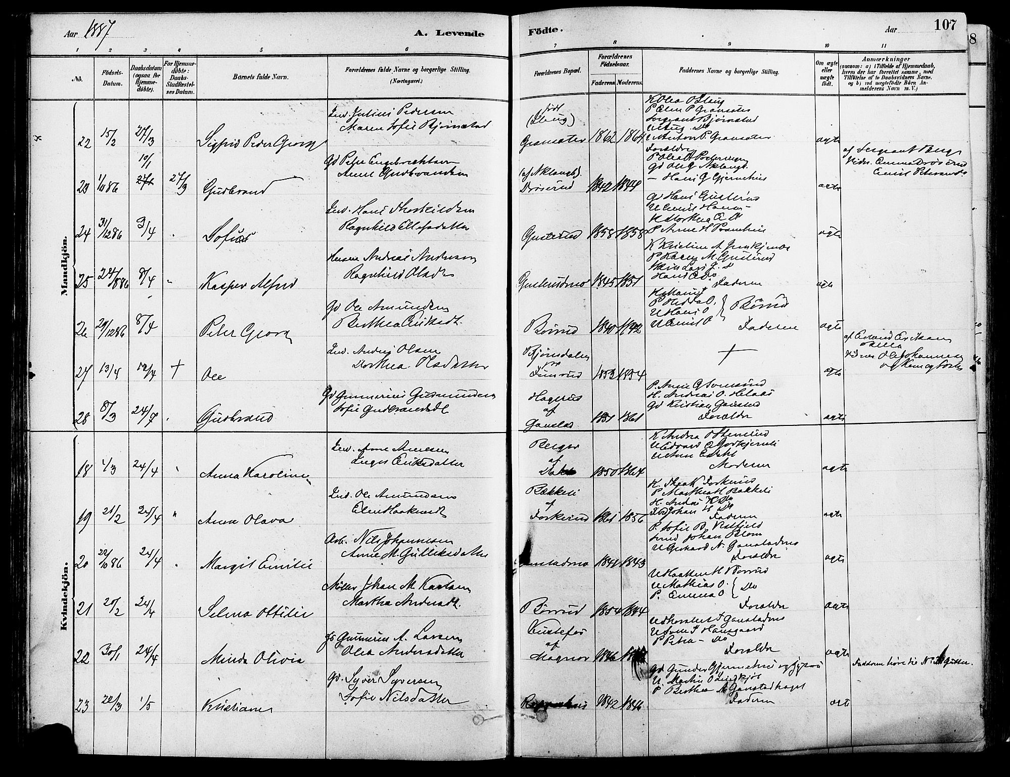 Eidskog prestekontor, AV/SAH-PREST-026/H/Ha/Haa/L0003: Ministerialbok nr. 3, 1879-1892, s. 107