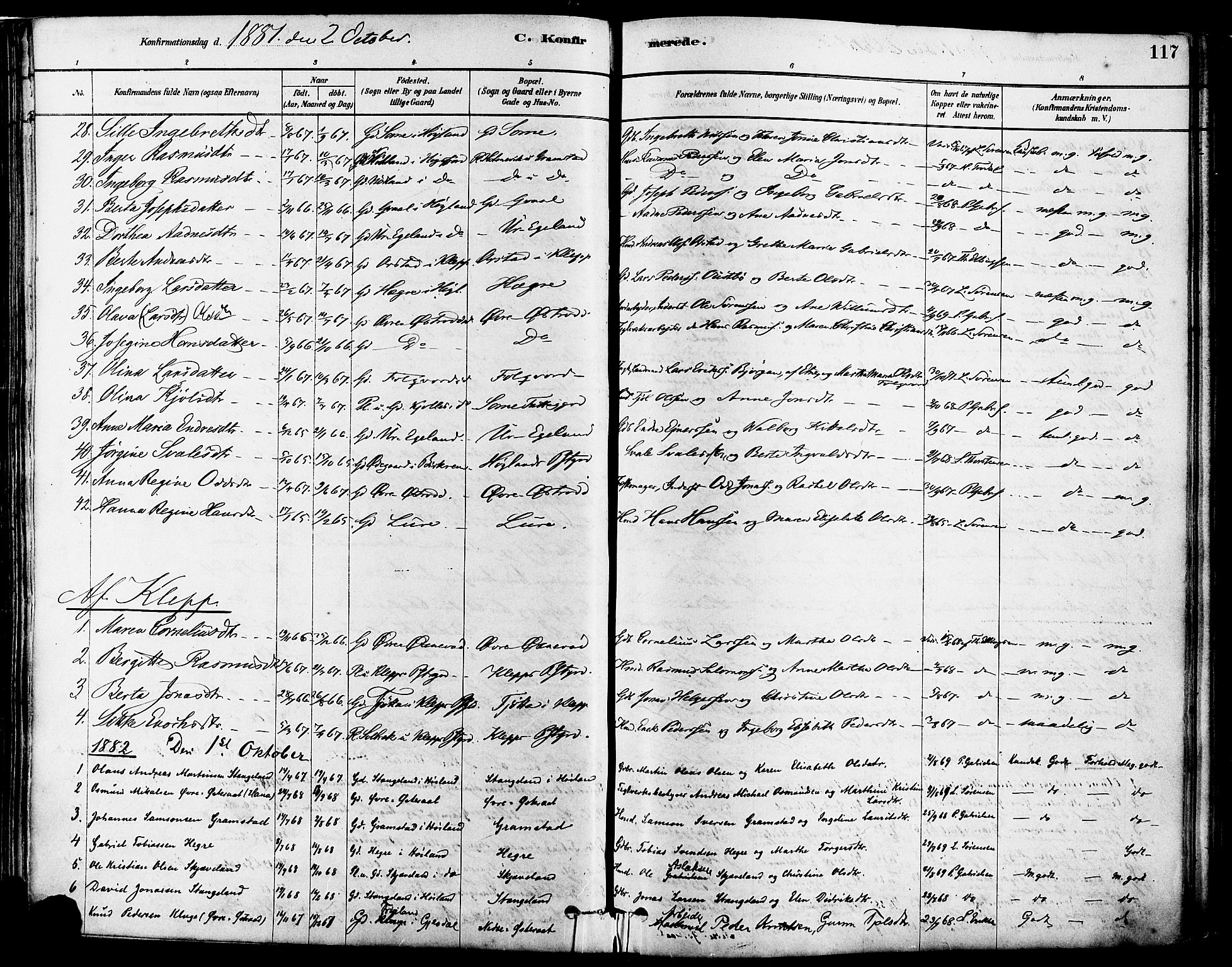Høyland sokneprestkontor, AV/SAST-A-101799/001/30BA/L0011: Ministerialbok nr. A 10, 1878-1888, s. 117