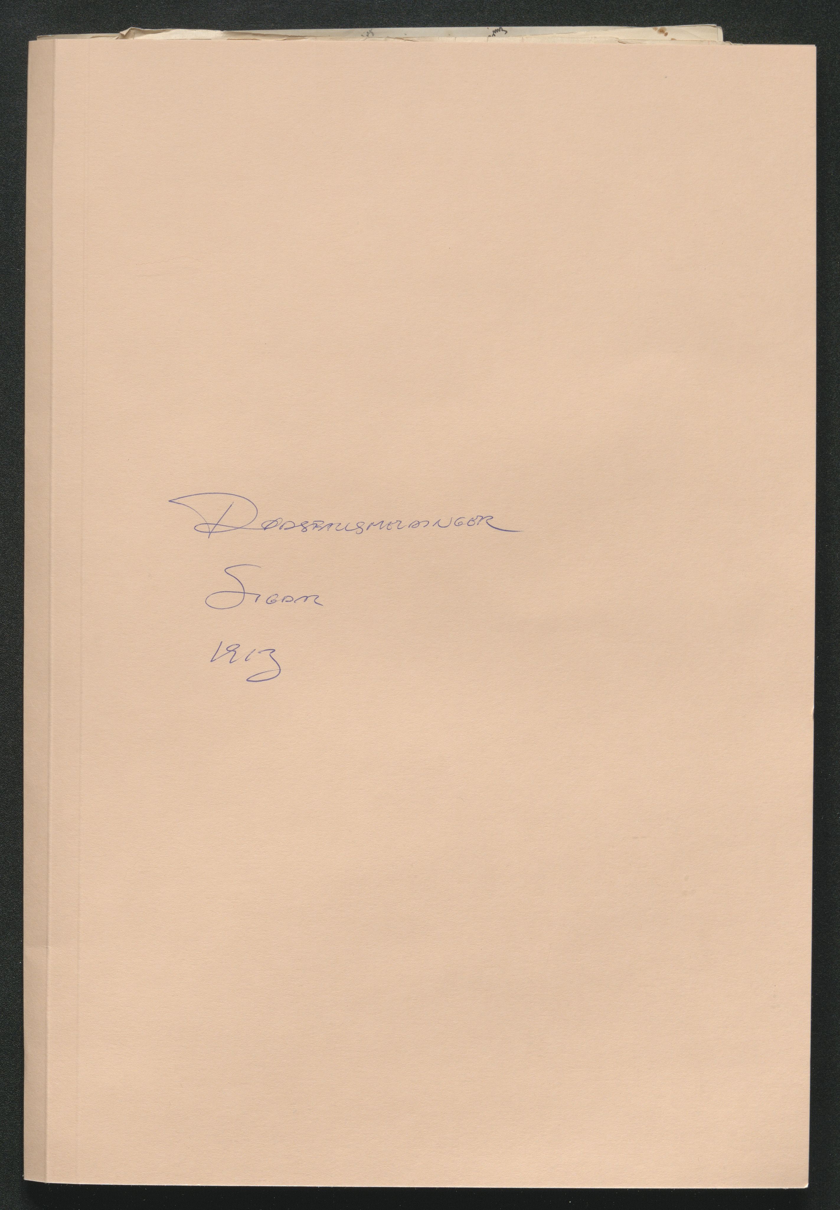 Eiker, Modum og Sigdal sorenskriveri, SAKO/A-123/H/Ha/Hab/L0036: Dødsfallsmeldinger, 1913, s. 298