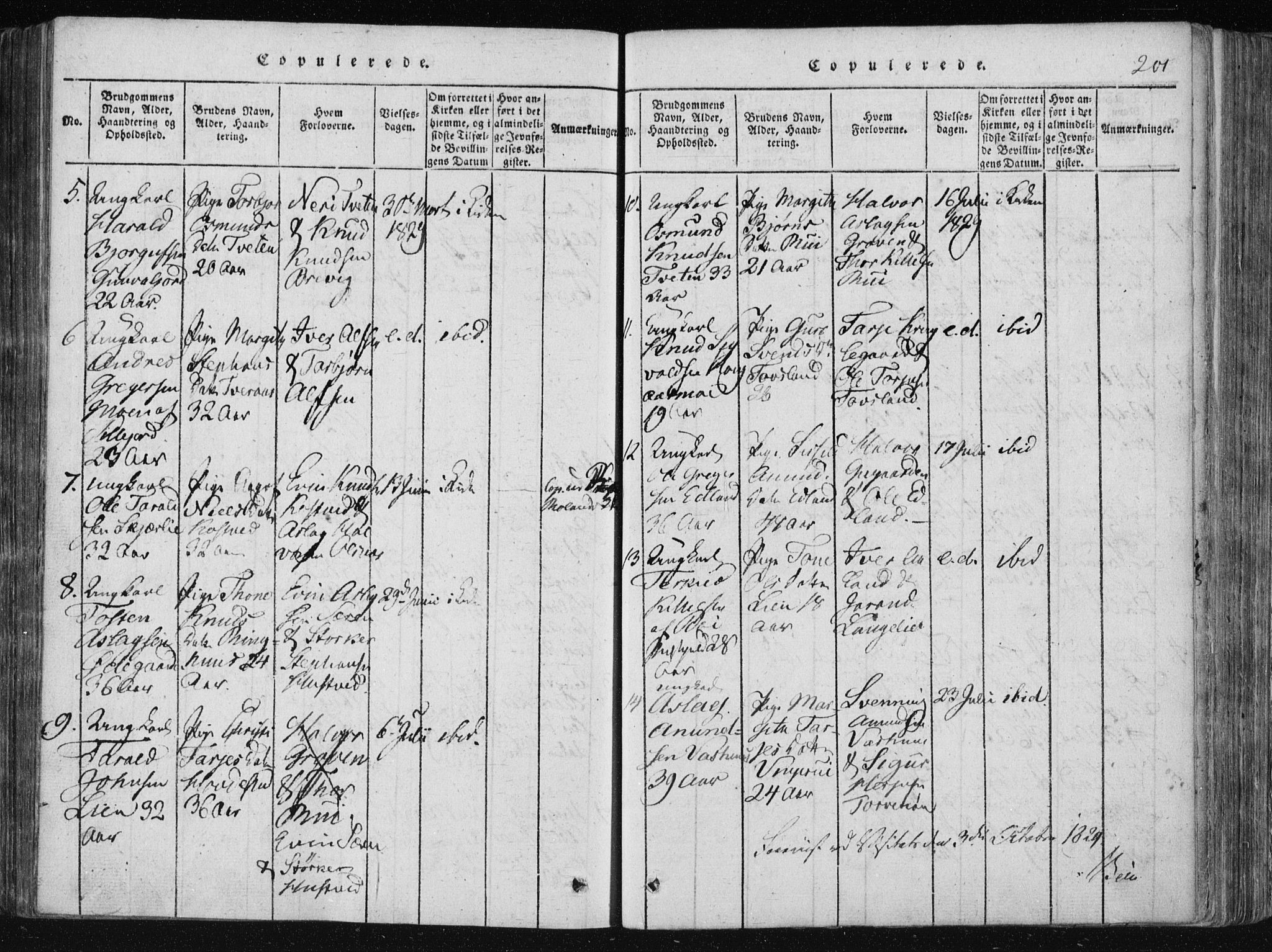 Vinje kirkebøker, AV/SAKO-A-312/F/Fa/L0003: Ministerialbok nr. I 3, 1814-1843, s. 201