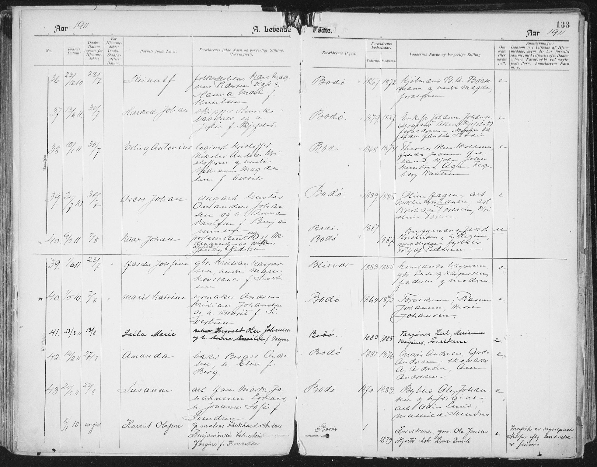 Ministerialprotokoller, klokkerbøker og fødselsregistre - Nordland, AV/SAT-A-1459/801/L0011: Ministerialbok nr. 801A11, 1900-1916, s. 133