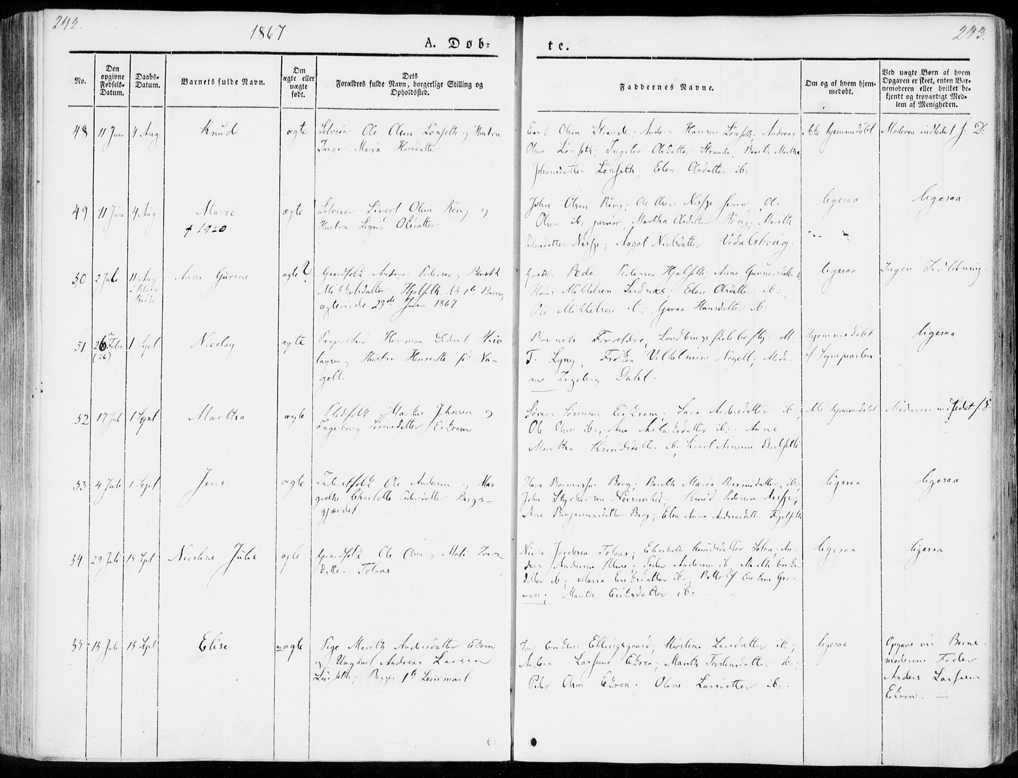 Ministerialprotokoller, klokkerbøker og fødselsregistre - Møre og Romsdal, AV/SAT-A-1454/555/L0653: Ministerialbok nr. 555A04, 1843-1869, s. 242-243