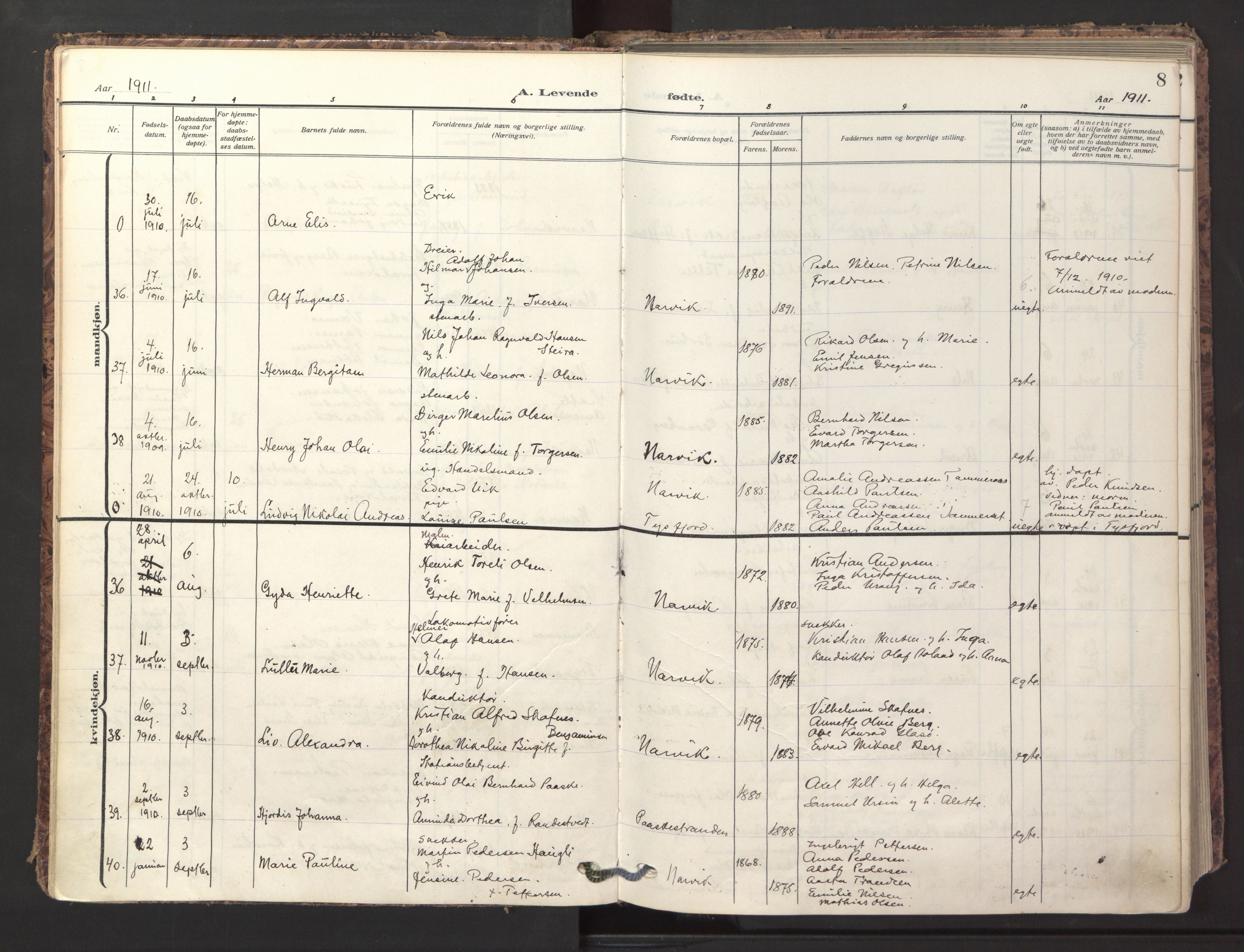Ministerialprotokoller, klokkerbøker og fødselsregistre - Nordland, AV/SAT-A-1459/871/L1001: Ministerialbok nr. 871A17, 1911-1921, s. 8