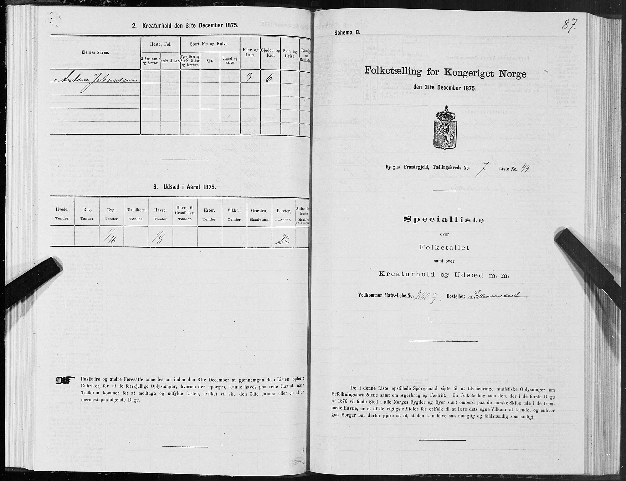 SAT, Folketelling 1875 for 1627P Bjugn prestegjeld, 1875, s. 4087