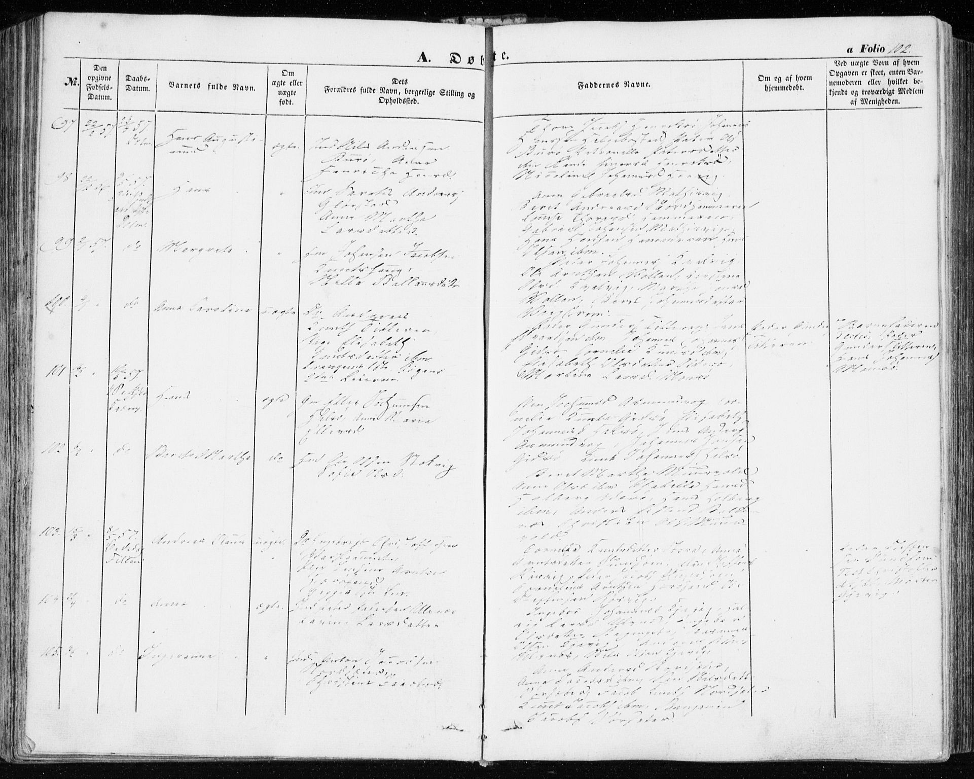 Ministerialprotokoller, klokkerbøker og fødselsregistre - Sør-Trøndelag, SAT/A-1456/634/L0530: Ministerialbok nr. 634A06, 1852-1860, s. 102