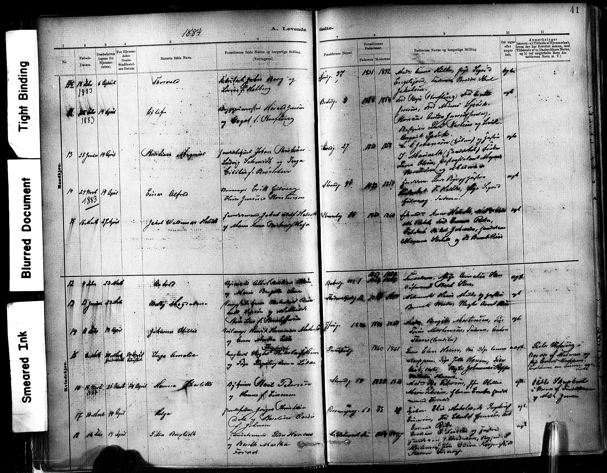 Ministerialprotokoller, klokkerbøker og fødselsregistre - Sør-Trøndelag, AV/SAT-A-1456/602/L0119: Ministerialbok nr. 602A17, 1880-1901, s. 41