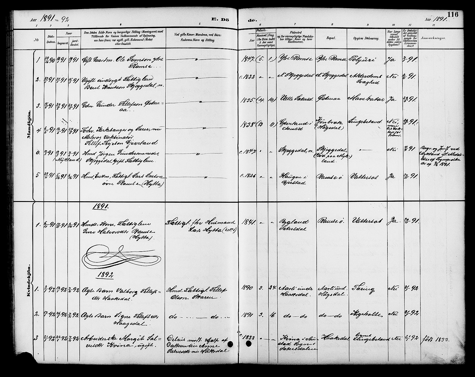 Åmli sokneprestkontor, SAK/1111-0050/F/Fb/Fbb/L0002: Klokkerbok nr. B 2, 1890-1905, s. 116