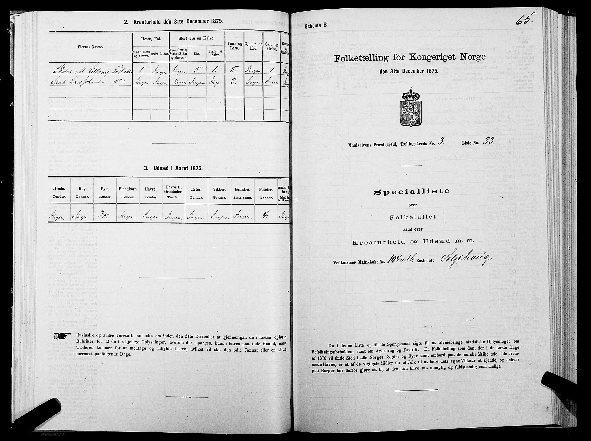 SATØ, Folketelling 1875 for 1924P Målselv prestegjeld, 1875, s. 2065