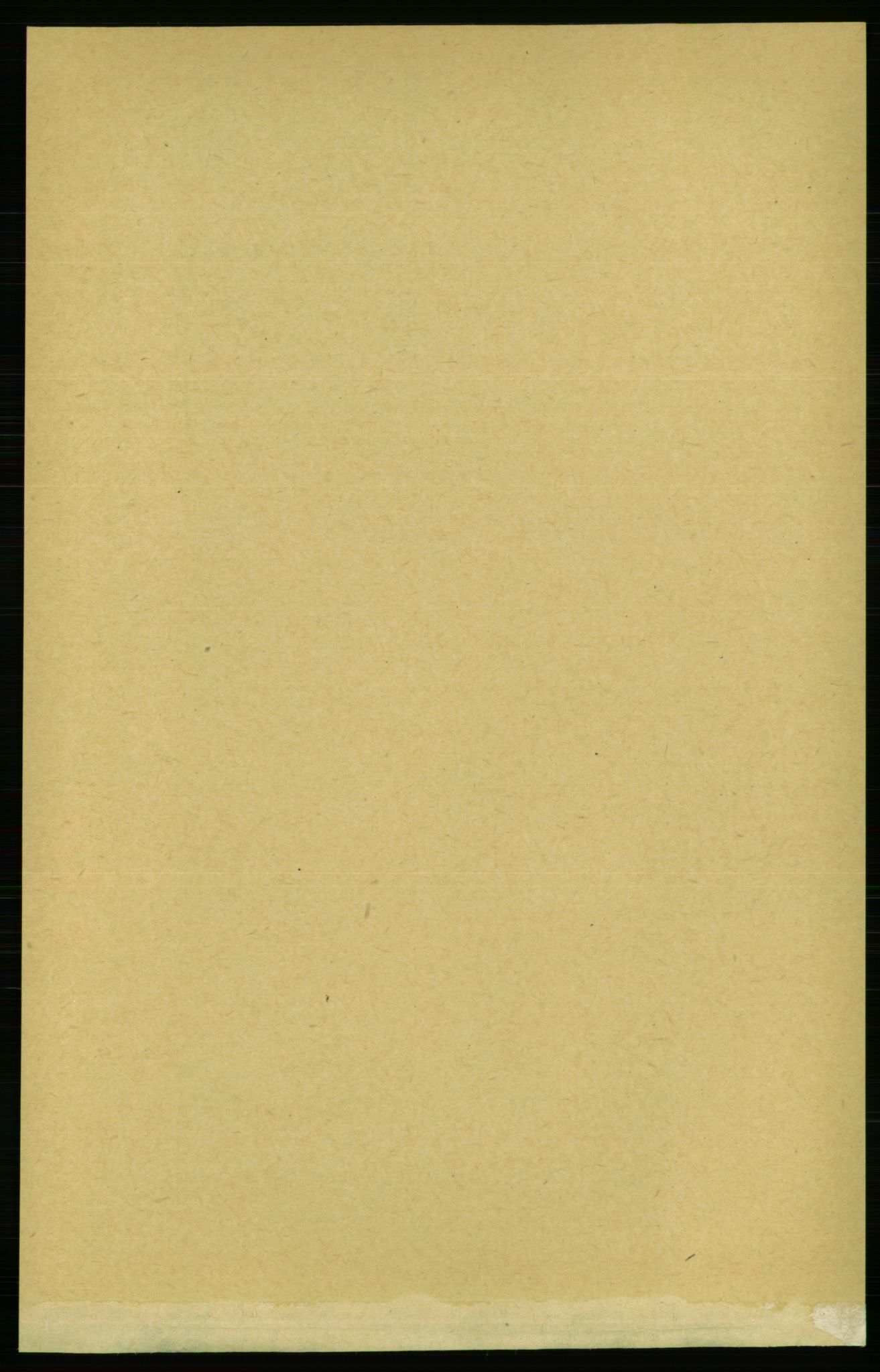RA, Folketelling 1891 for 1640 Røros herred, 1891, s. 1142