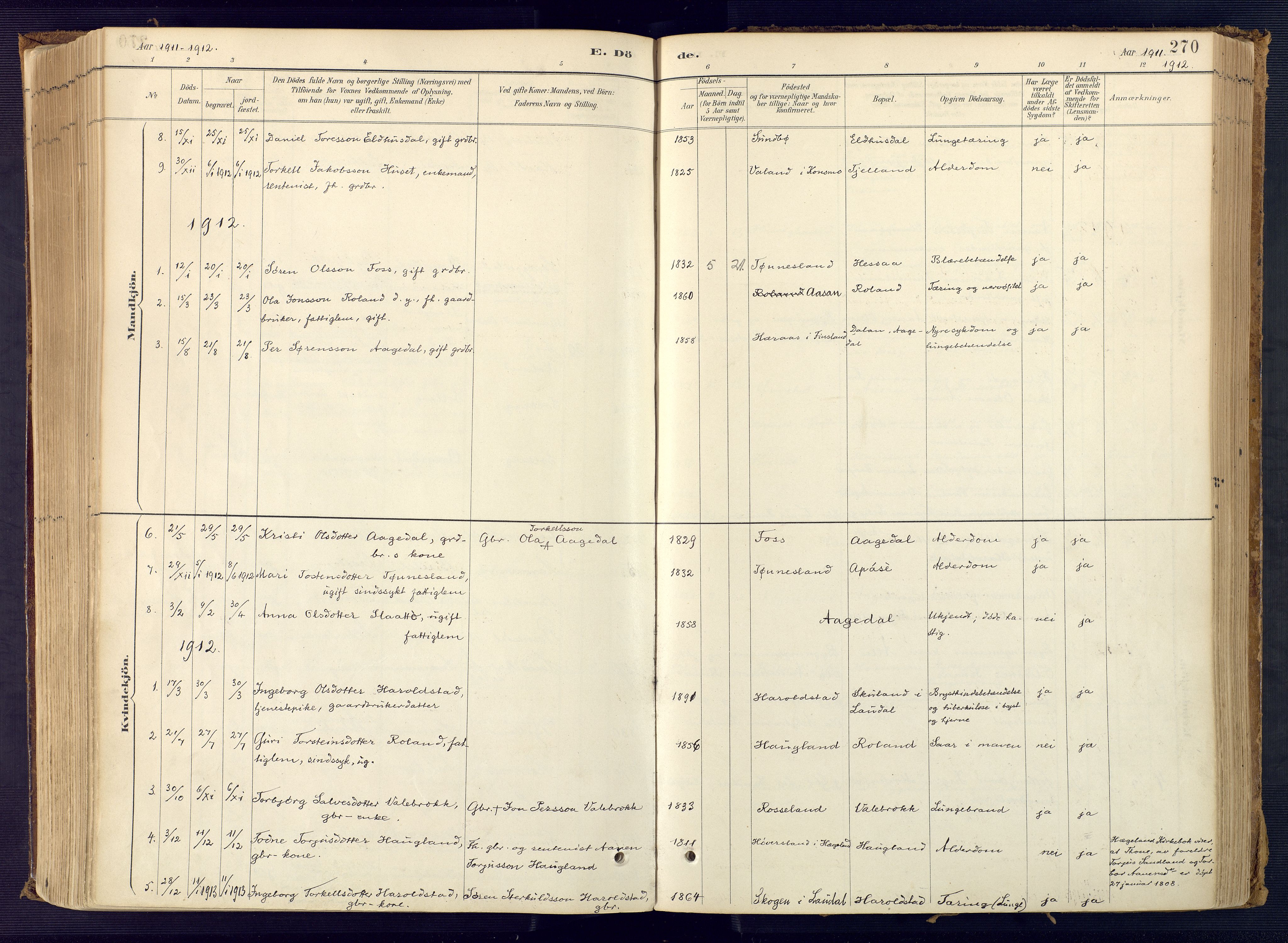 Bjelland sokneprestkontor, SAK/1111-0005/F/Fa/Faa/L0004: Ministerialbok nr. A 4, 1887-1923, s. 270