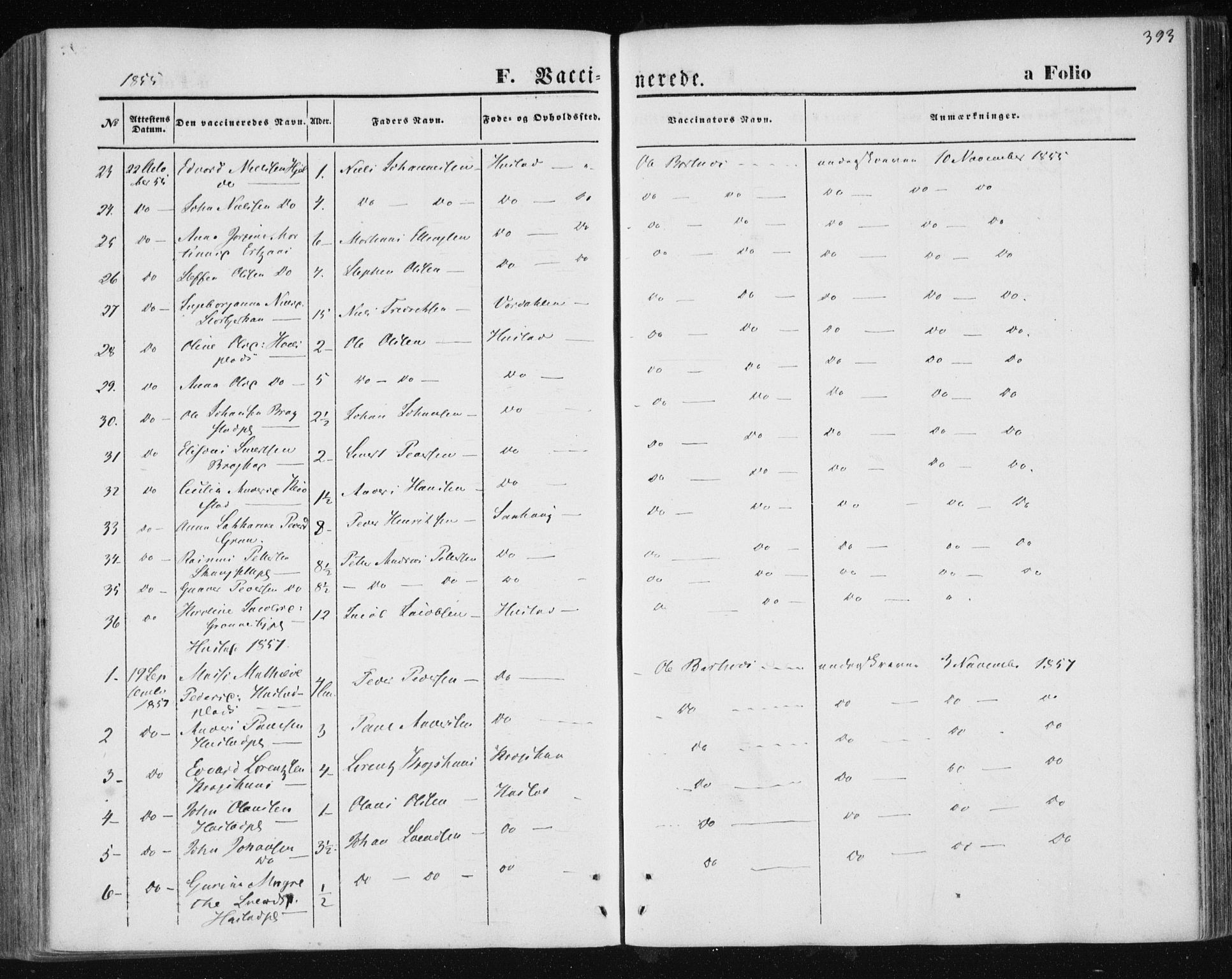 Ministerialprotokoller, klokkerbøker og fødselsregistre - Nord-Trøndelag, SAT/A-1458/730/L0283: Ministerialbok nr. 730A08, 1855-1865, s. 393