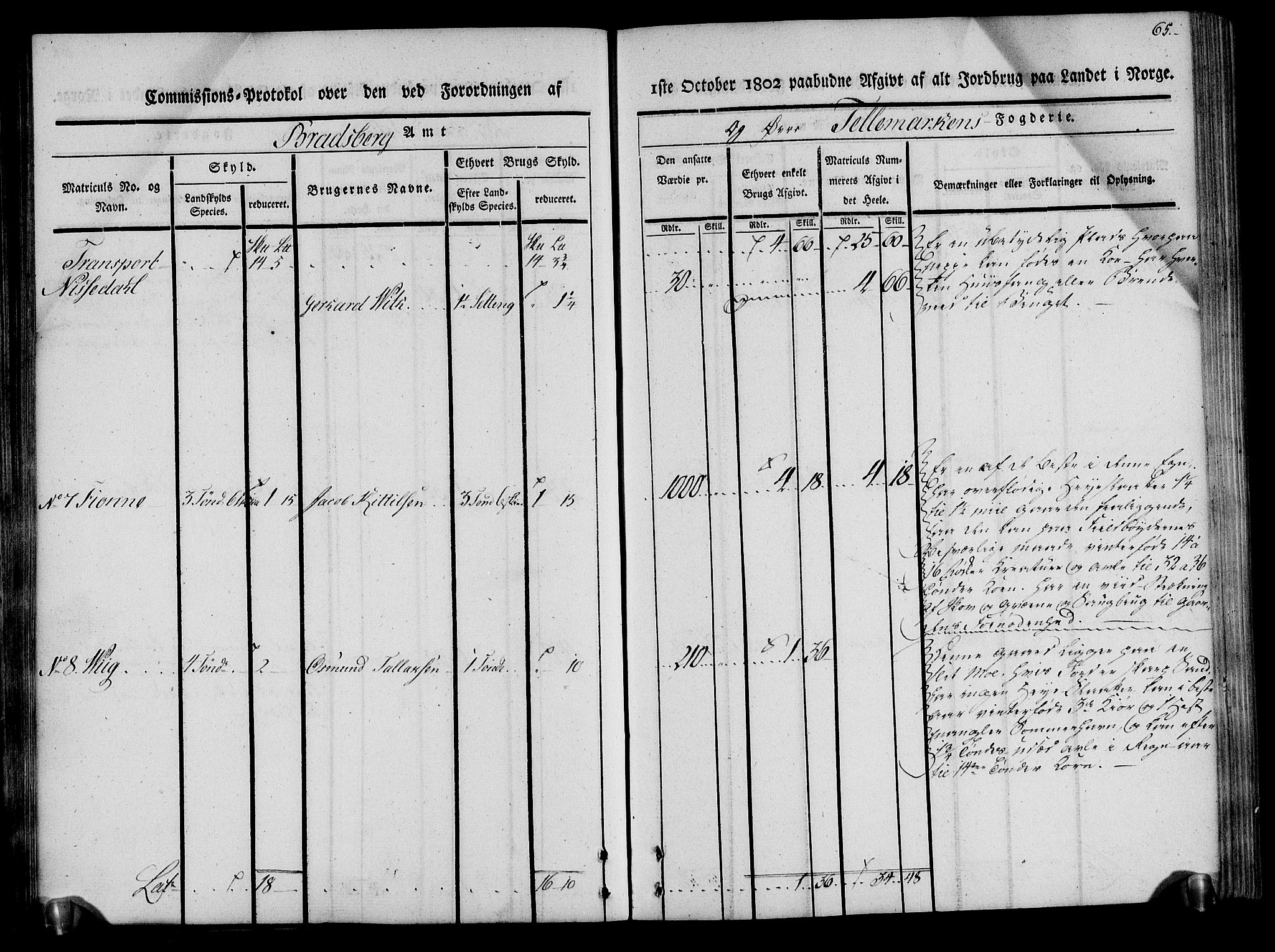Rentekammeret inntil 1814, Realistisk ordnet avdeling, AV/RA-EA-4070/N/Ne/Nea/L0075: Øvre Telemarken fogderi. Kommisjonsprotokoll for fogderiets vestre del - Kviteseid, Vinje, Moland [):Fyresdal] og Lårdal prestegjeld., 1803, s. 65