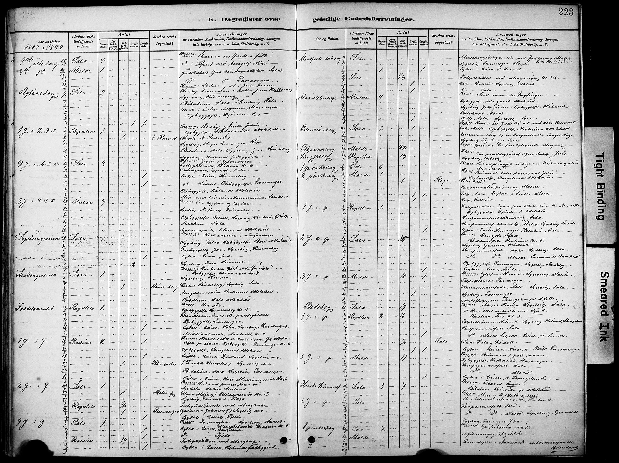 Håland sokneprestkontor, AV/SAST-A-101802/001/30BA/L0012: Ministerialbok nr. A 11, 1889-1900, s. 223