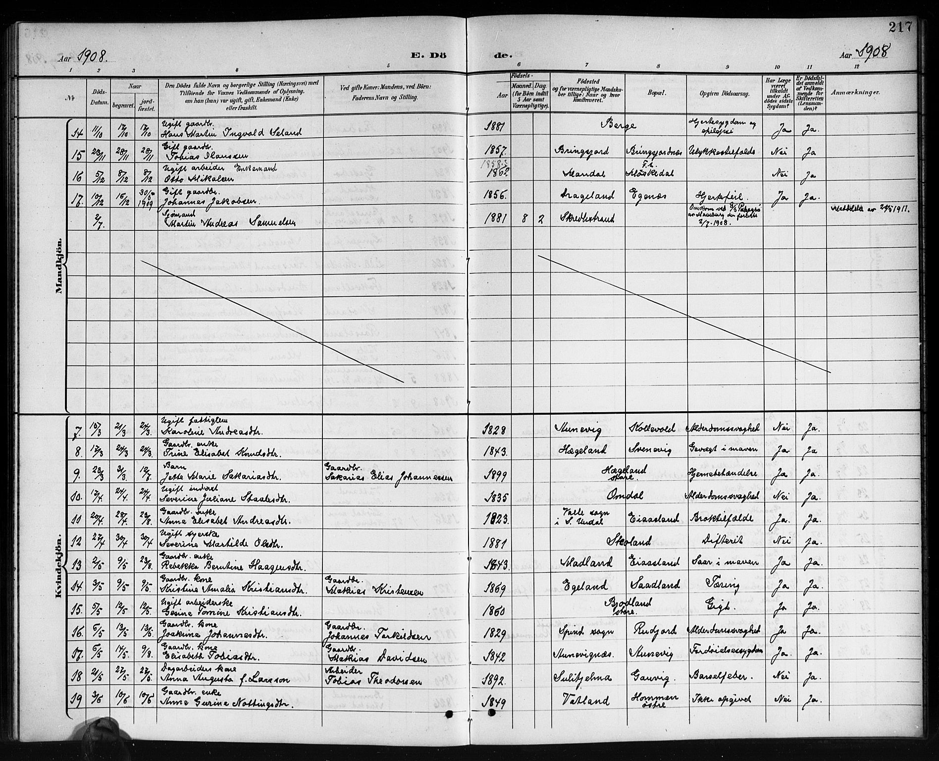 Lyngdal sokneprestkontor, AV/SAK-1111-0029/F/Fb/Fbc/L0005: Klokkerbok nr. B 5, 1897-1913, s. 217