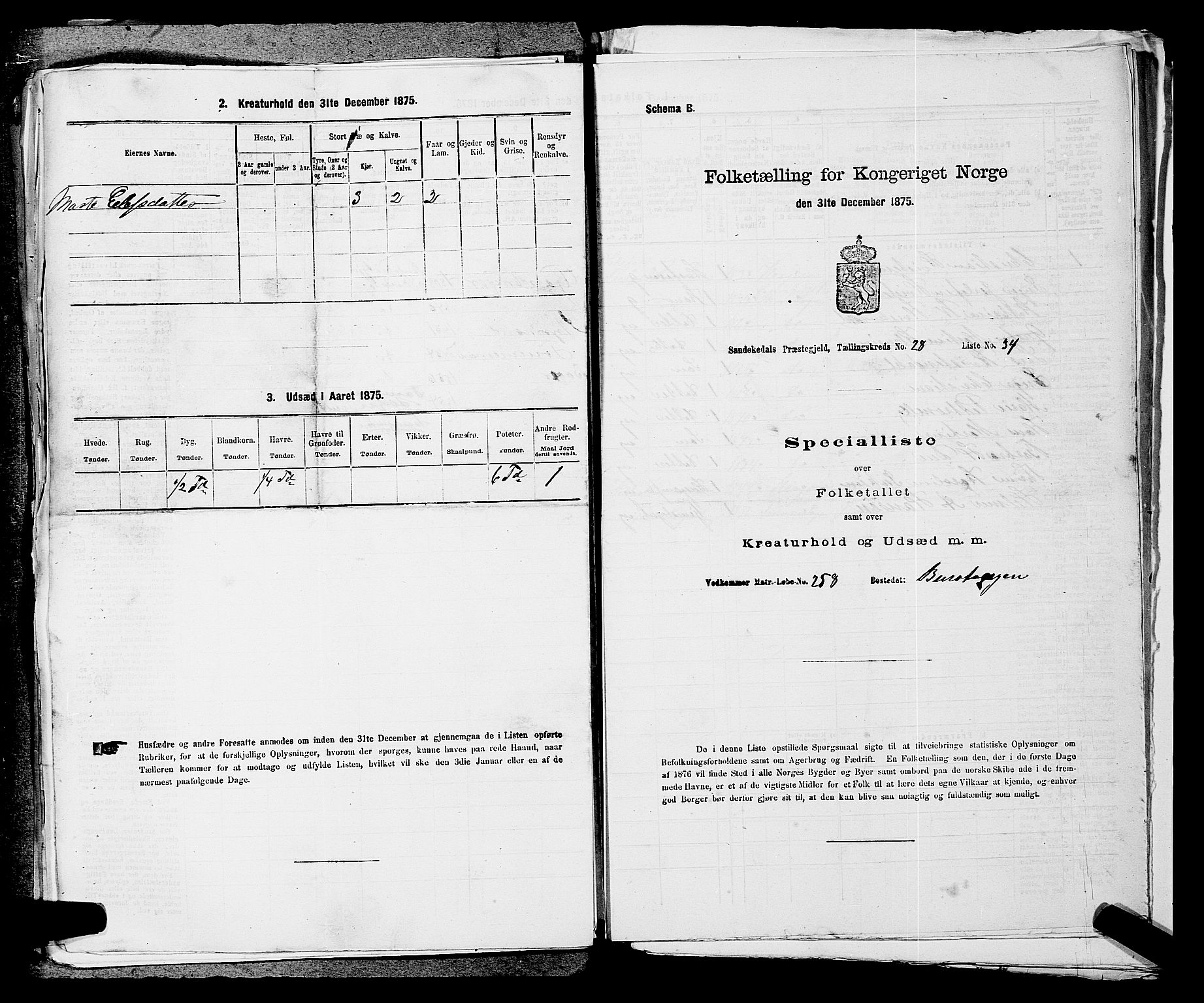 SAKO, Folketelling 1875 for 0816P Sannidal prestegjeld, 1875, s. 2226