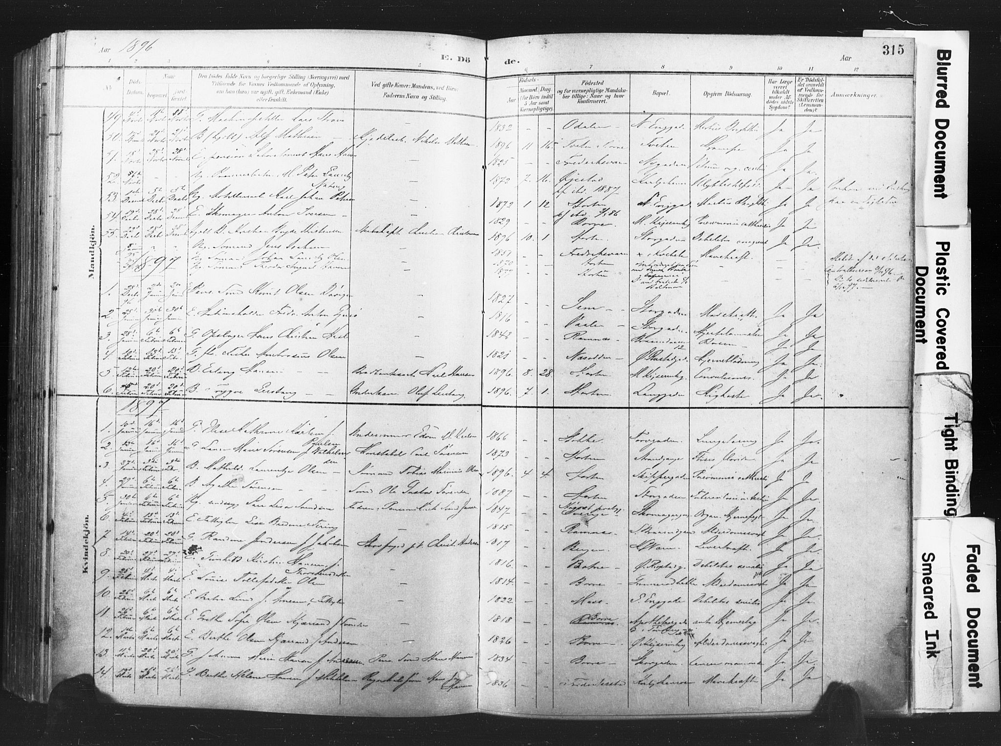Horten kirkebøker, AV/SAKO-A-348/F/Fa/L0005: Ministerialbok nr. 5, 1896-1904, s. 315