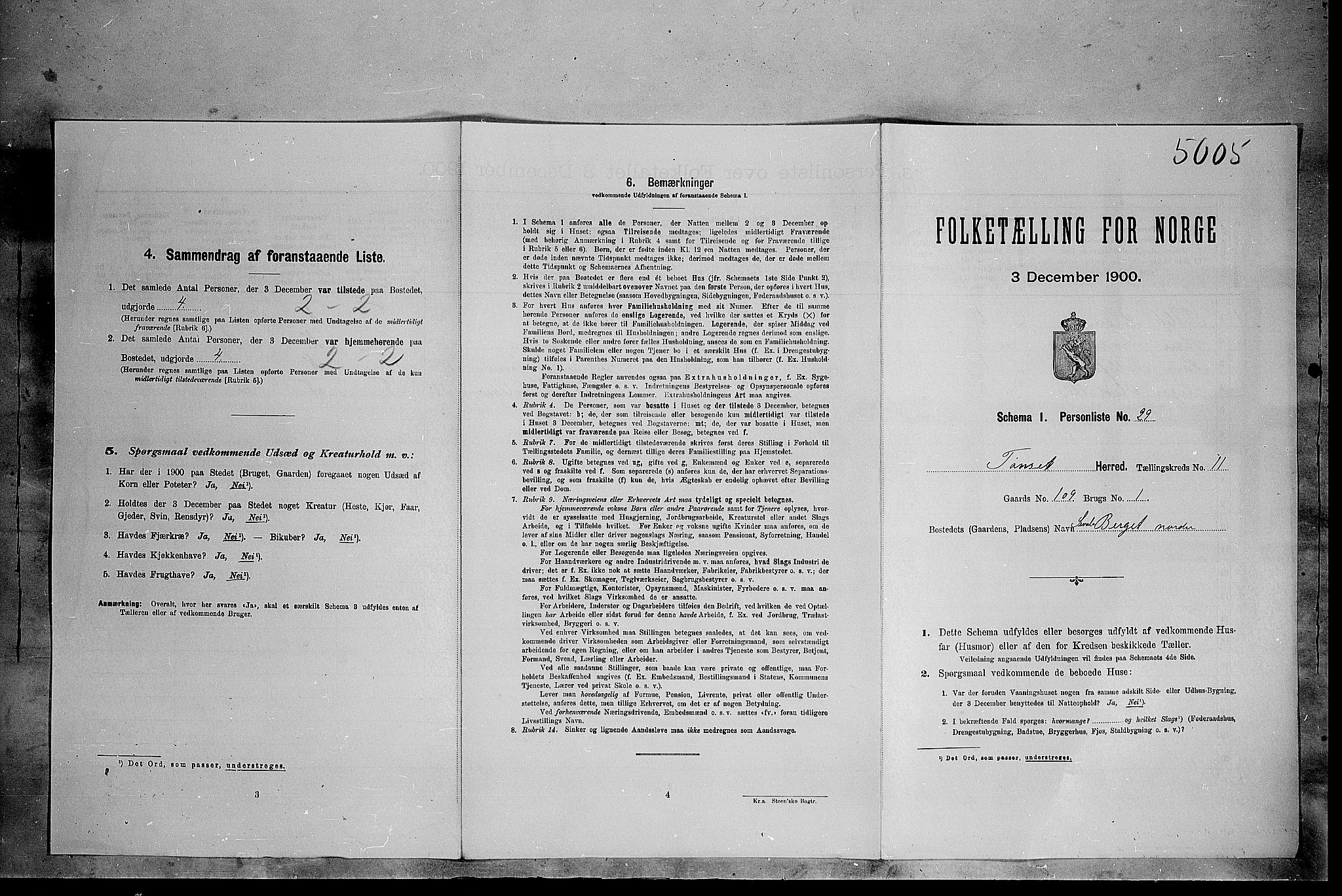 SAH, Folketelling 1900 for 0437 Tynset herred, 1900, s. 1055