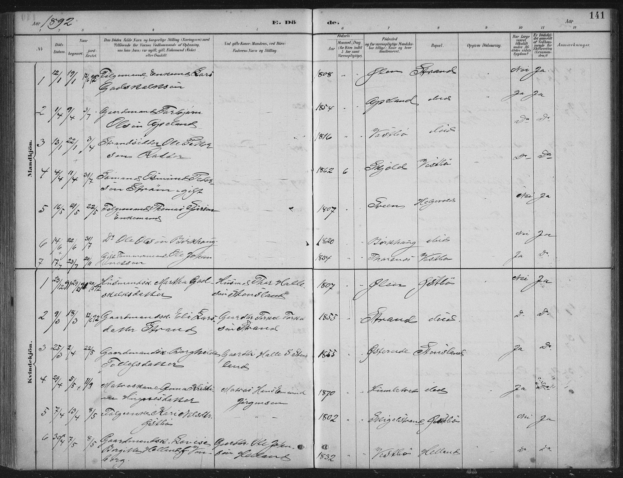 Vikedal sokneprestkontor, SAST/A-101840/01/IV: Ministerialbok nr. A 11, 1884-1933, s. 141