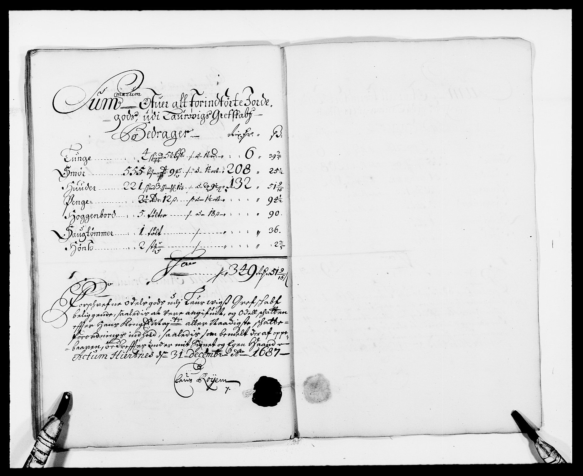 Rentekammeret inntil 1814, Reviderte regnskaper, Fogderegnskap, RA/EA-4092/R33/L1970: Fogderegnskap Larvik grevskap, 1675-1687, s. 347