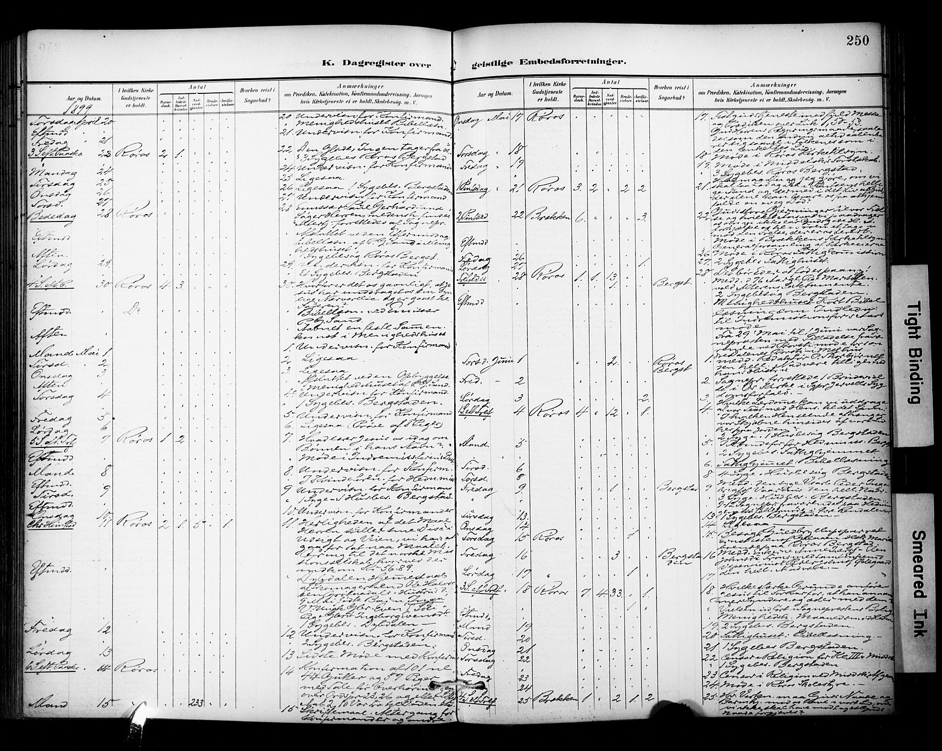 Ministerialprotokoller, klokkerbøker og fødselsregistre - Sør-Trøndelag, SAT/A-1456/681/L0936: Ministerialbok nr. 681A14, 1899-1908, s. 250