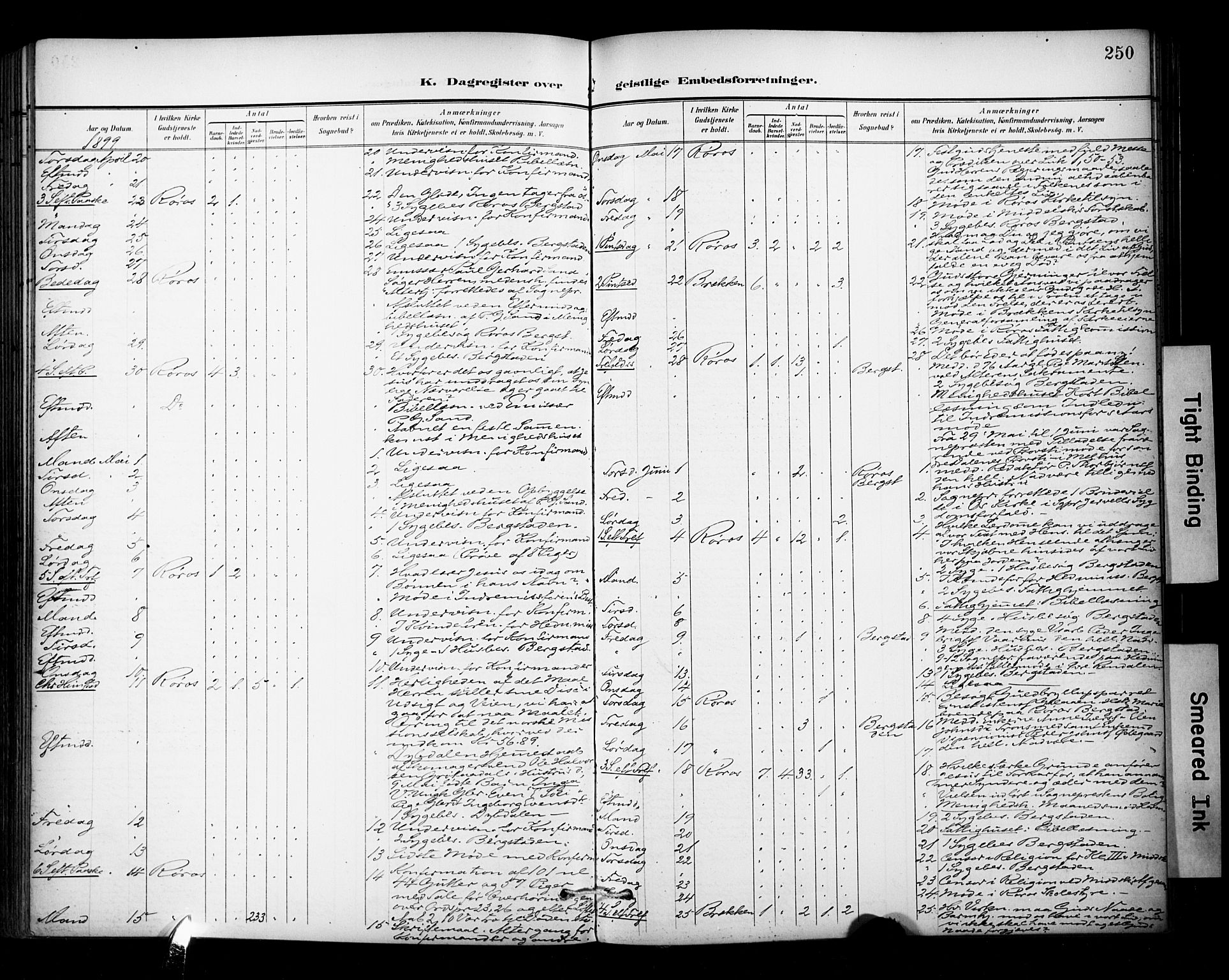 Ministerialprotokoller, klokkerbøker og fødselsregistre - Sør-Trøndelag, AV/SAT-A-1456/681/L0936: Ministerialbok nr. 681A14, 1899-1908, s. 250