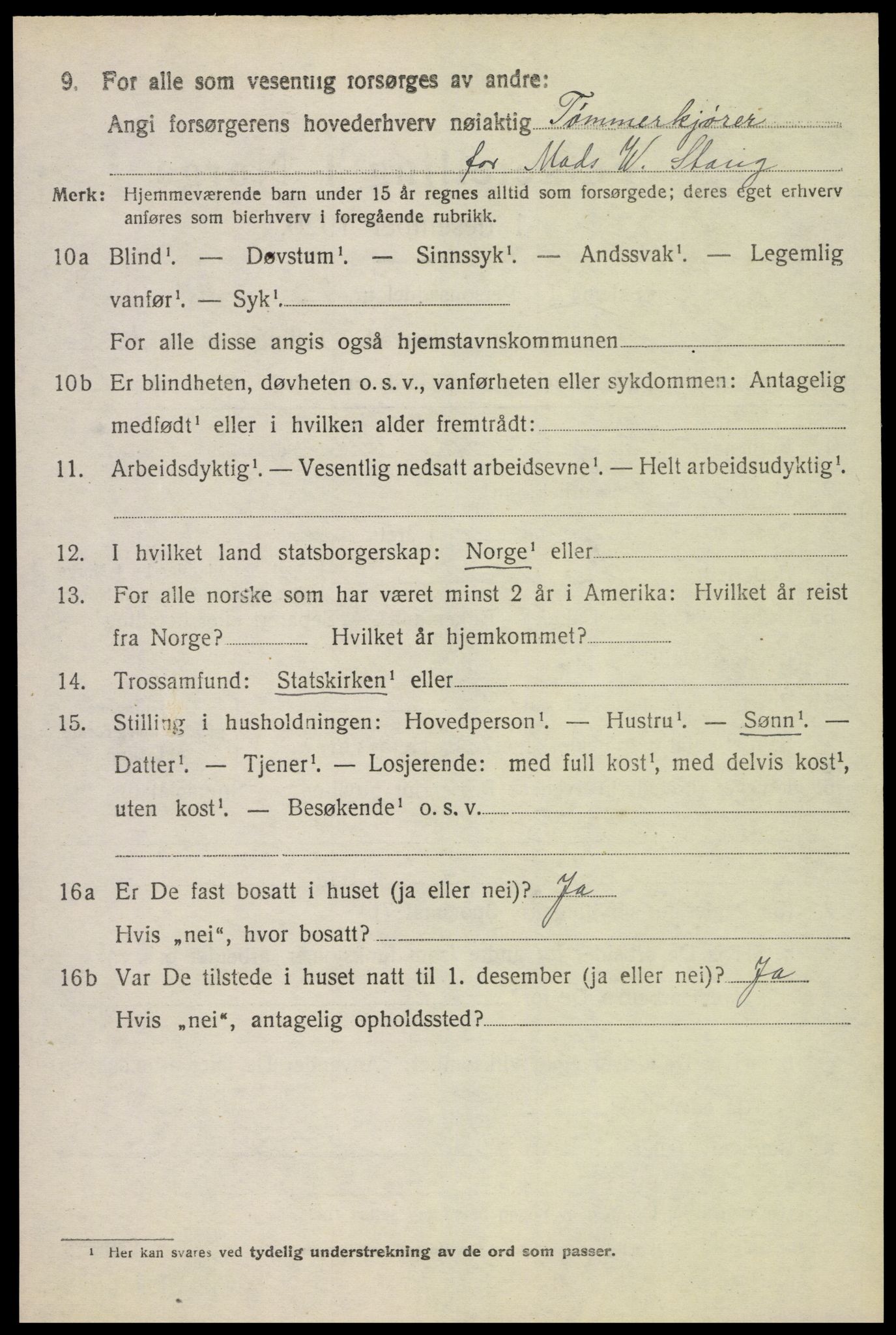SAH, Folketelling 1920 for 0419 Sør-Odal herred, 1920, s. 12994