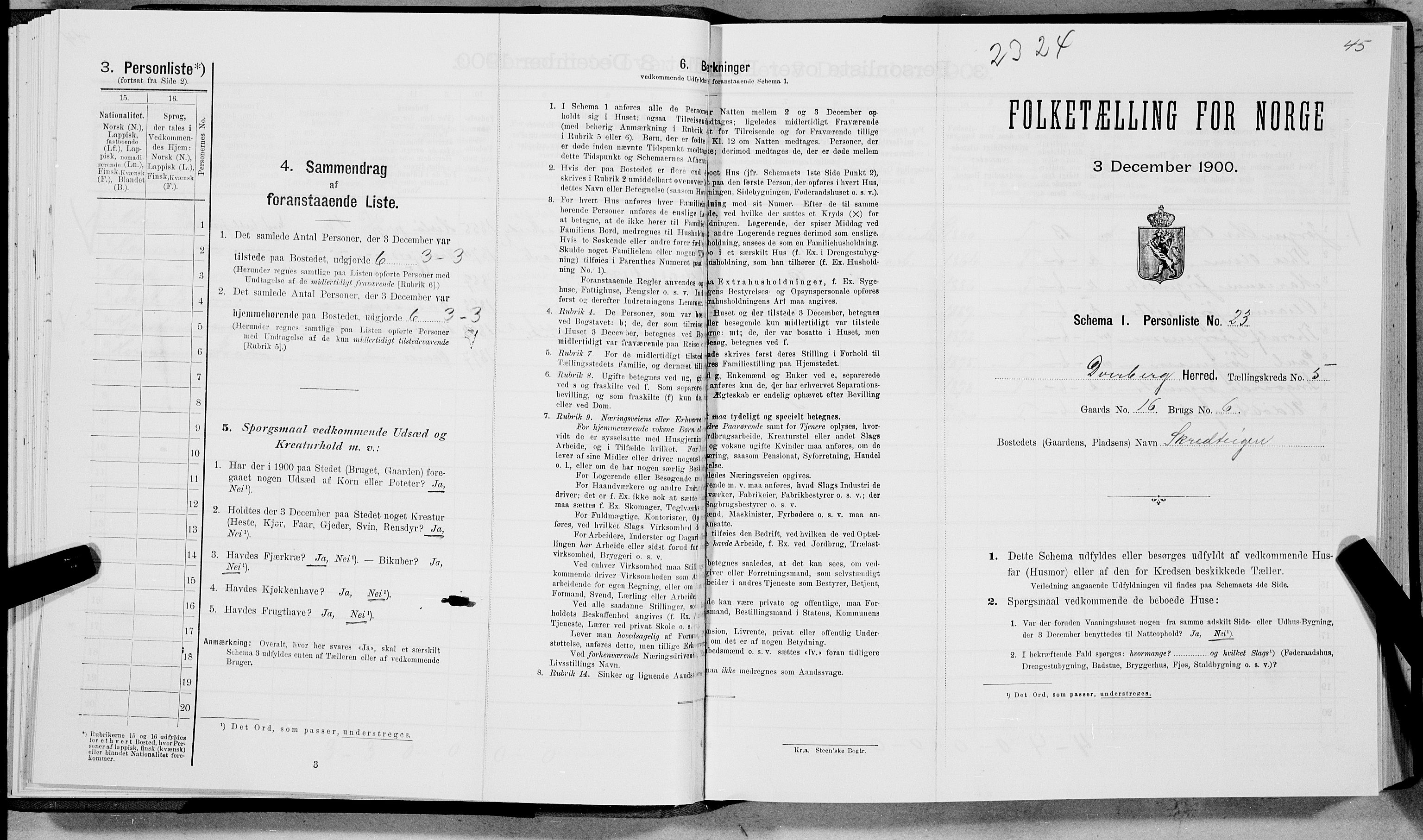 SAT, Folketelling 1900 for 1872 Dverberg herred, 1900, s. 425