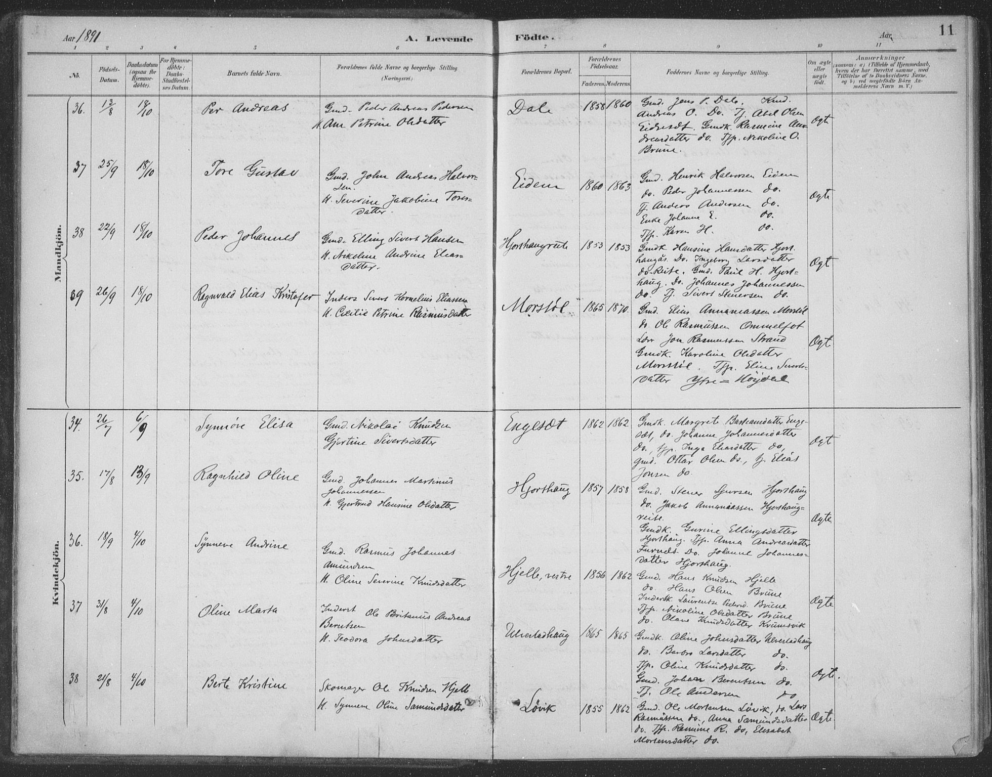 Ministerialprotokoller, klokkerbøker og fødselsregistre - Møre og Romsdal, AV/SAT-A-1454/511/L0142: Ministerialbok nr. 511A09, 1891-1905, s. 11