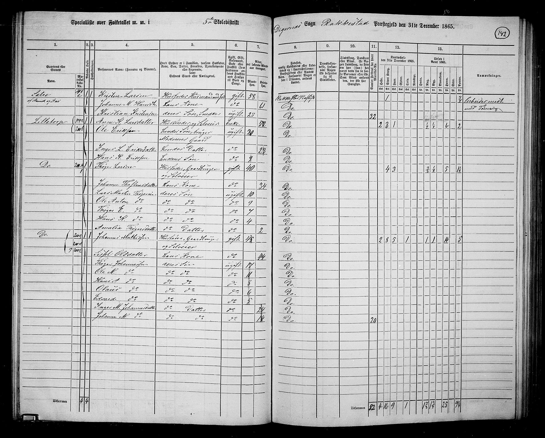 RA, Folketelling 1865 for 0128P Rakkestad prestegjeld, 1865, s. 140