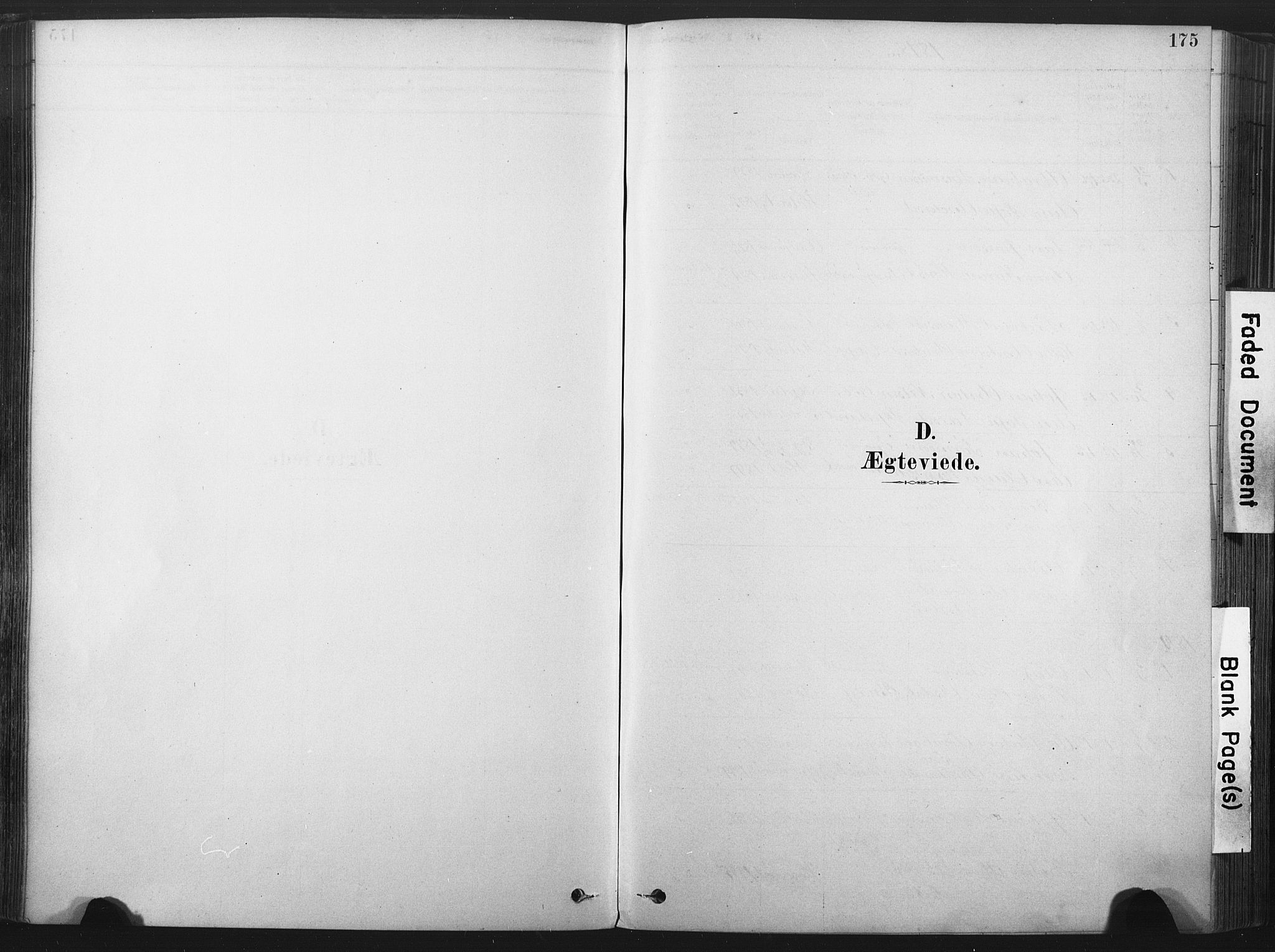 Andebu kirkebøker, AV/SAKO-A-336/F/Fa/L0007: Ministerialbok nr. I 7, 1878-1899, s. 175