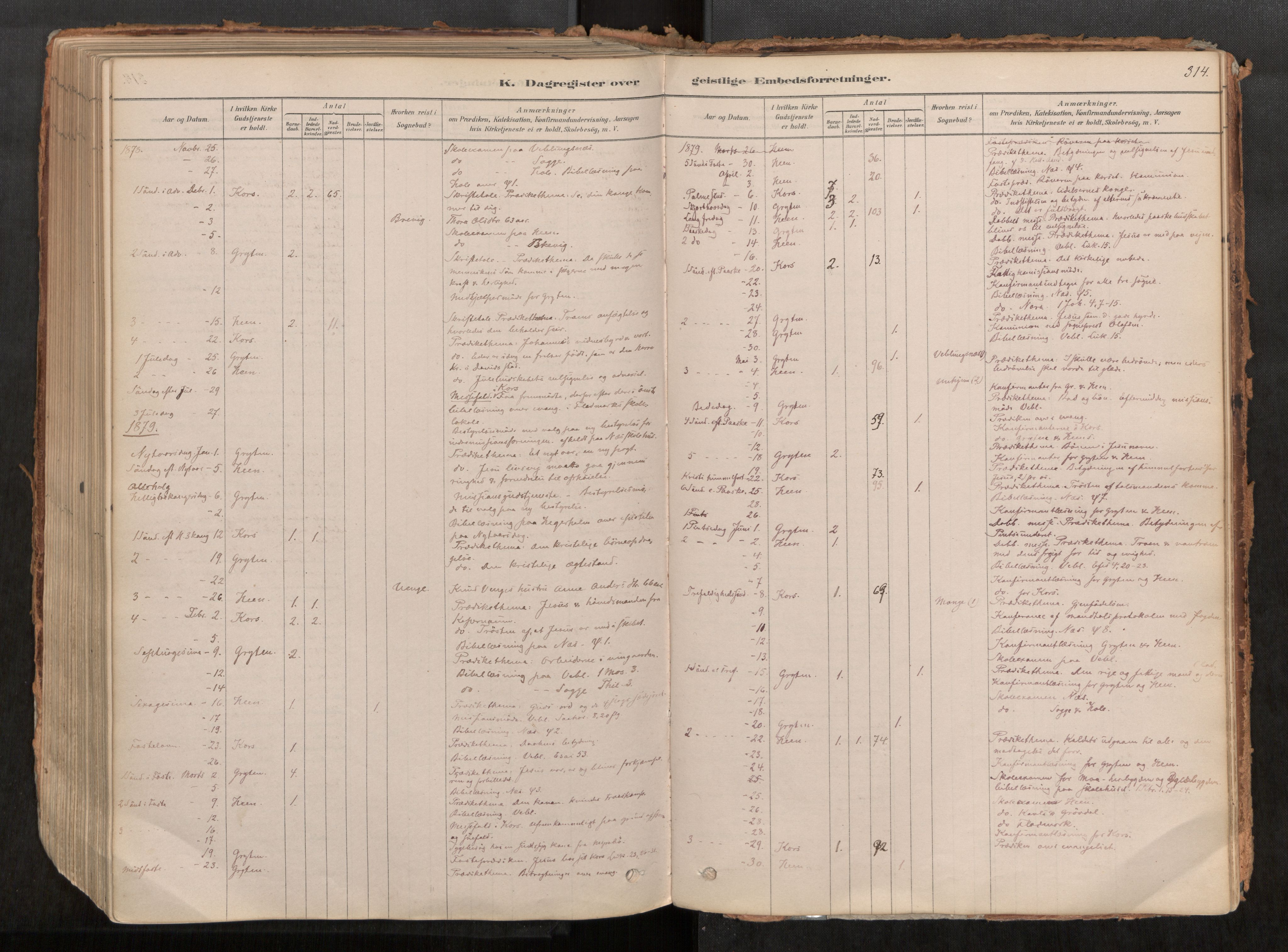 Ministerialprotokoller, klokkerbøker og fødselsregistre - Møre og Romsdal, AV/SAT-A-1454/545/L0594: Ministerialbok nr. 545A03, 1878-1920, s. 314