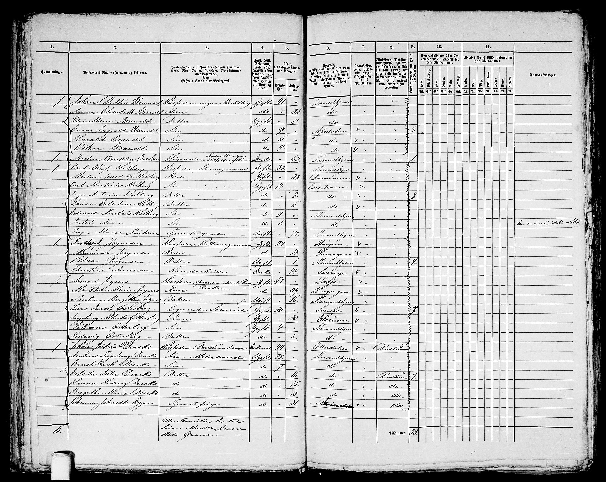 RA, Folketelling 1865 for 1601 Trondheim kjøpstad, 1865, s. 1141