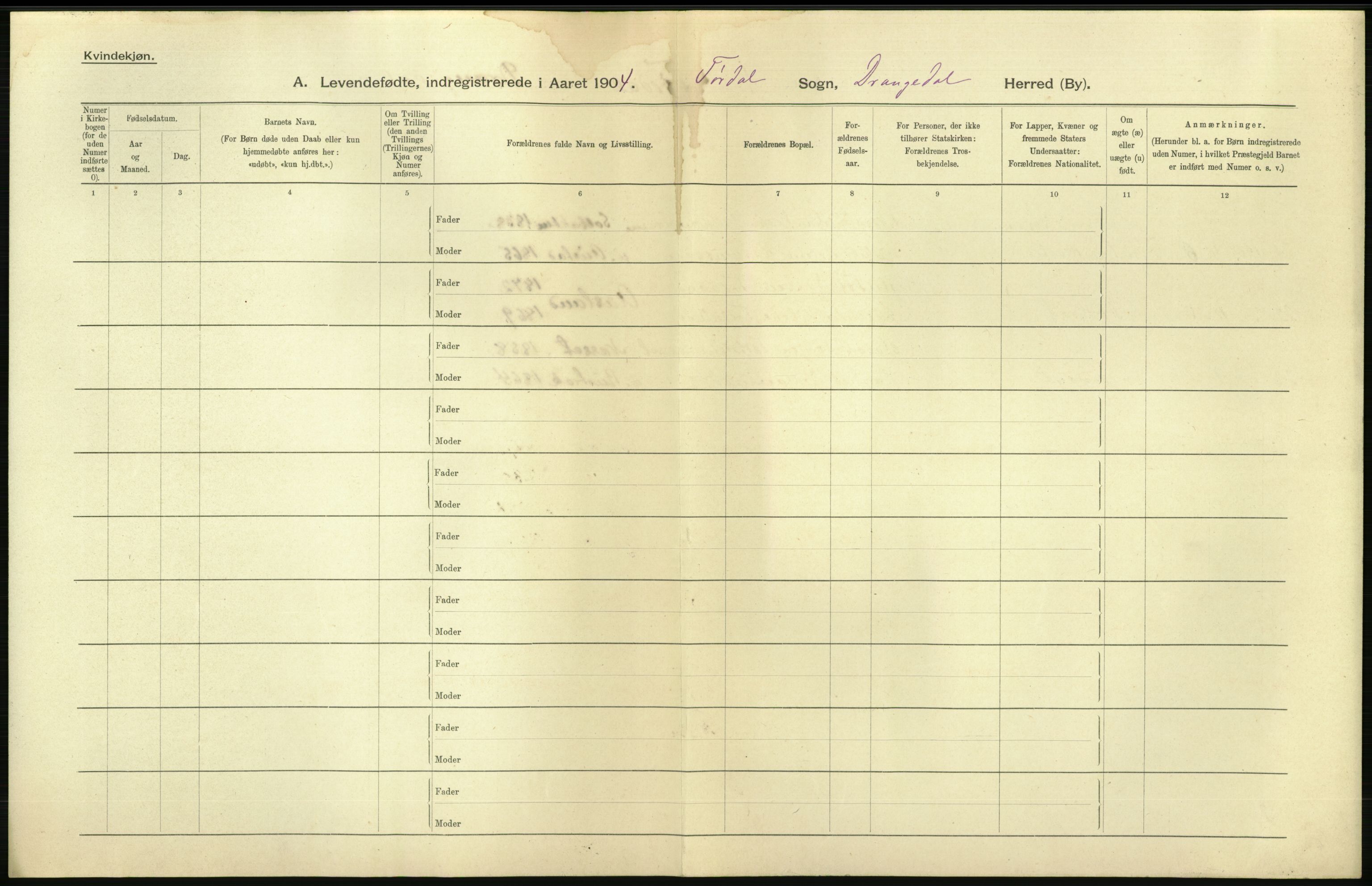 Statistisk sentralbyrå, Sosiodemografiske emner, Befolkning, AV/RA-S-2228/D/Df/Dfa/Dfab/L0009: Bratsberg amt: Fødte, gifte, døde, 1904, s. 14