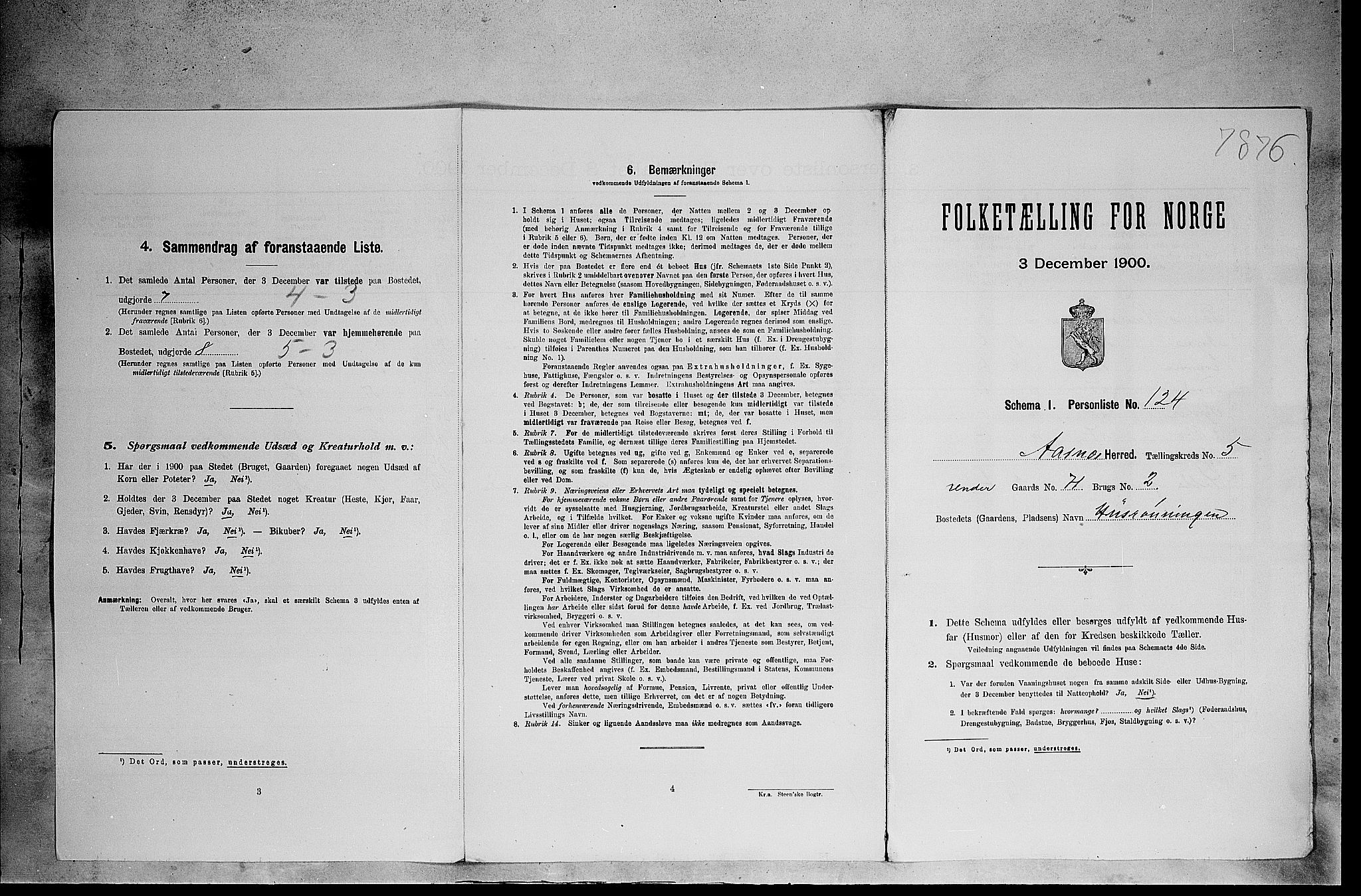 SAH, Folketelling 1900 for 0425 Åsnes herred, 1900, s. 1087